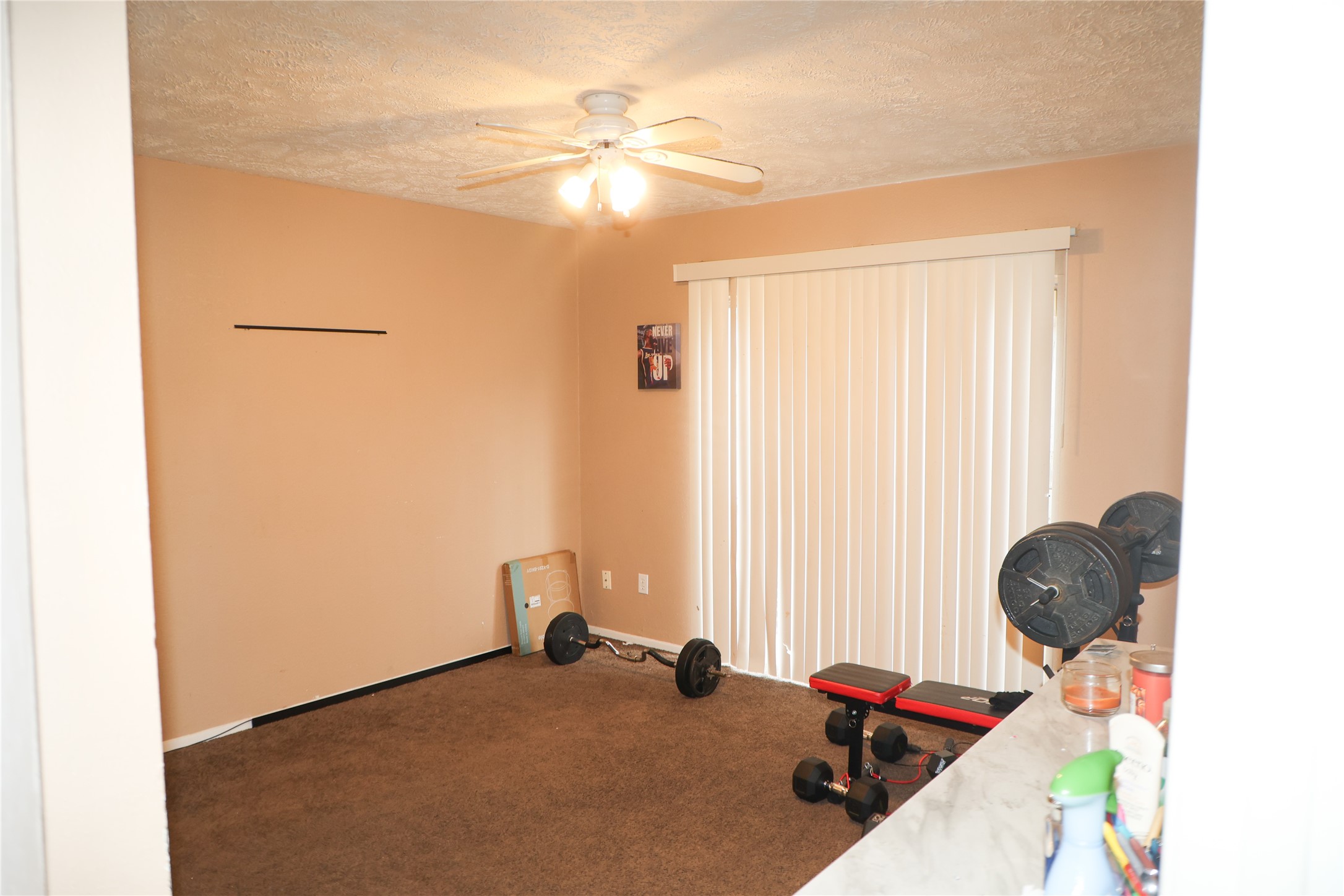 99 W Mountain Creek Drive, Grand Prairie, TX, 75052