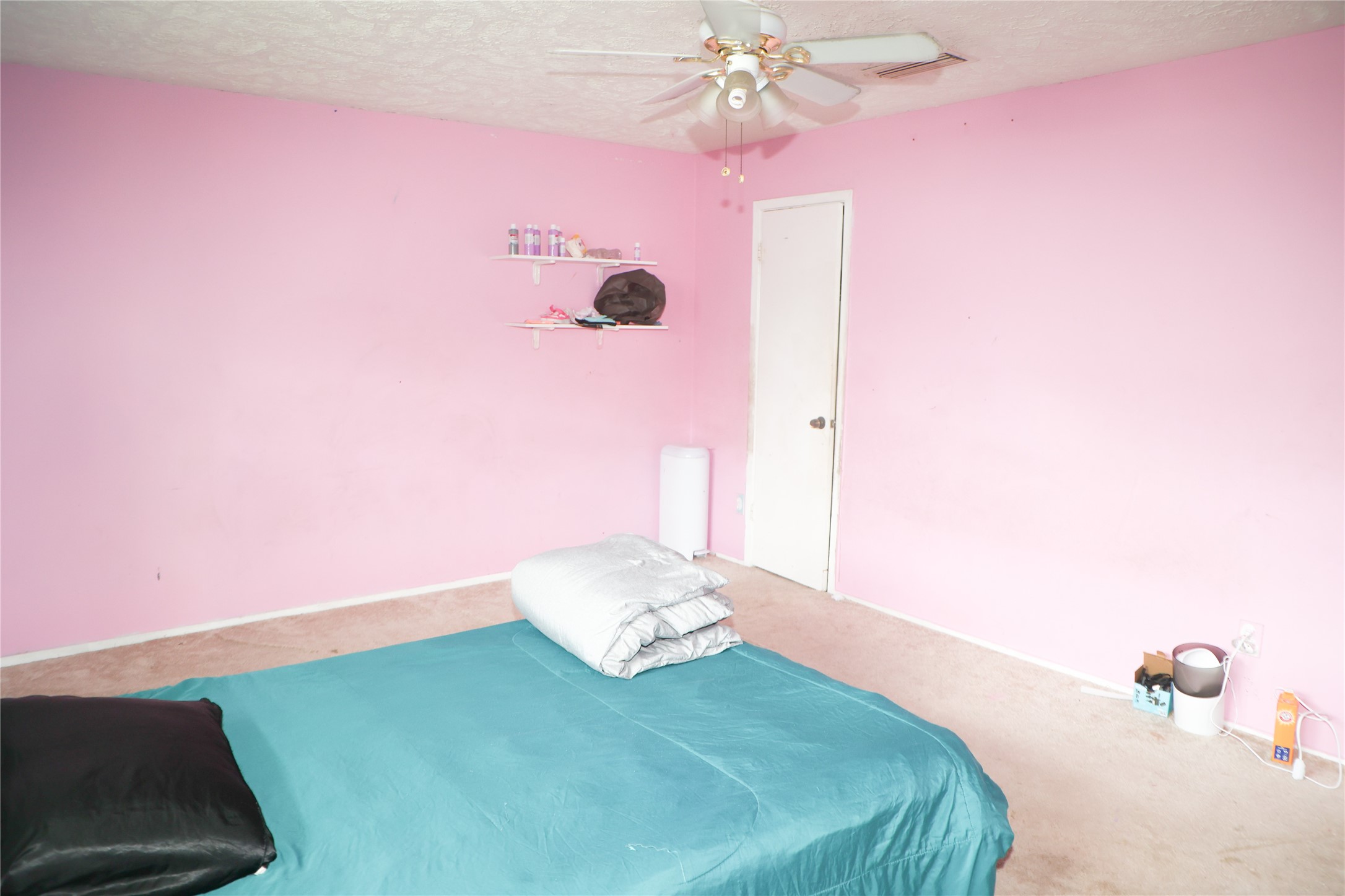 99 W Mountain Creek Drive, Grand Prairie, TX, 75052