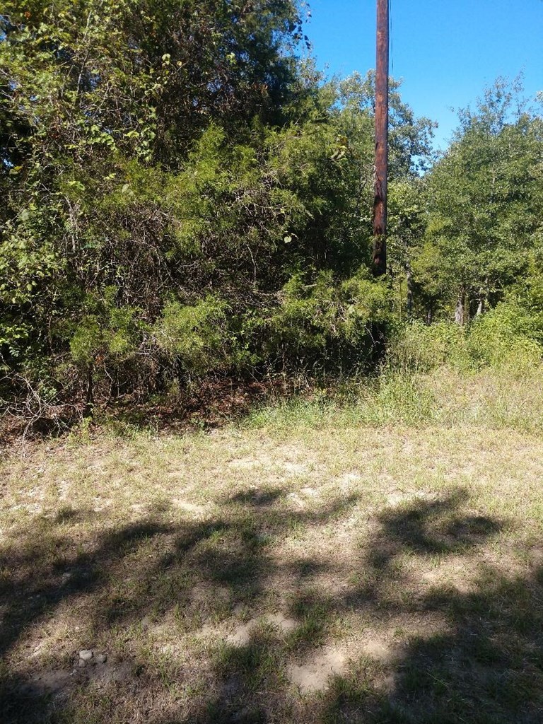 0 Kathy Circle, Malakoff, TX, 75148