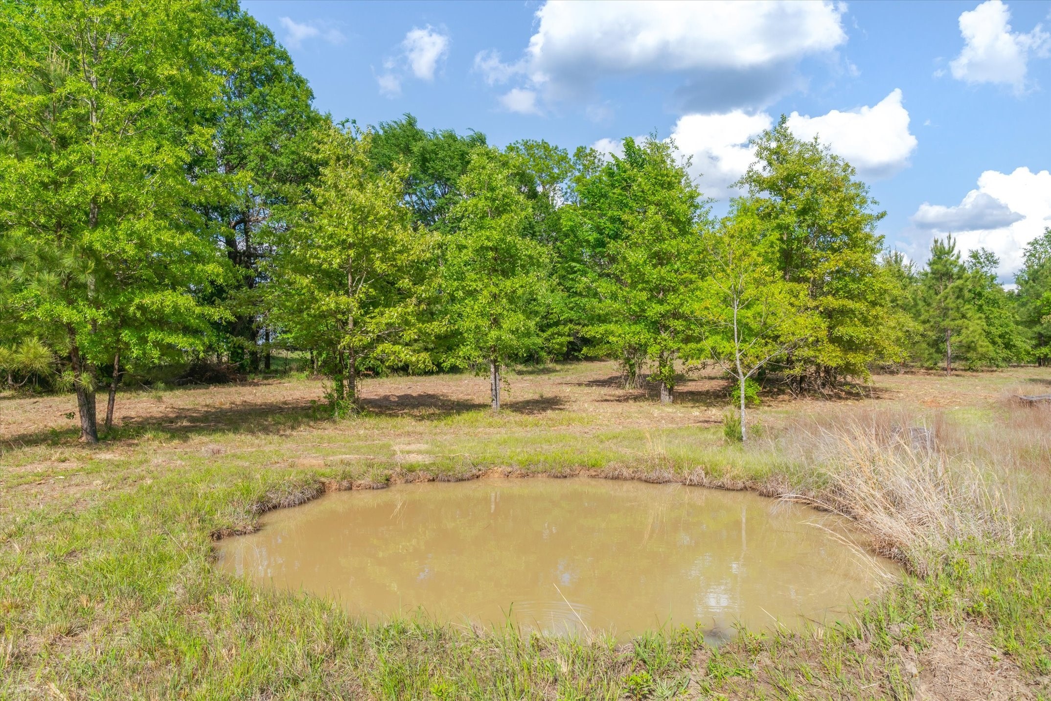 00 Hwy 69, Alba, TX, 75410