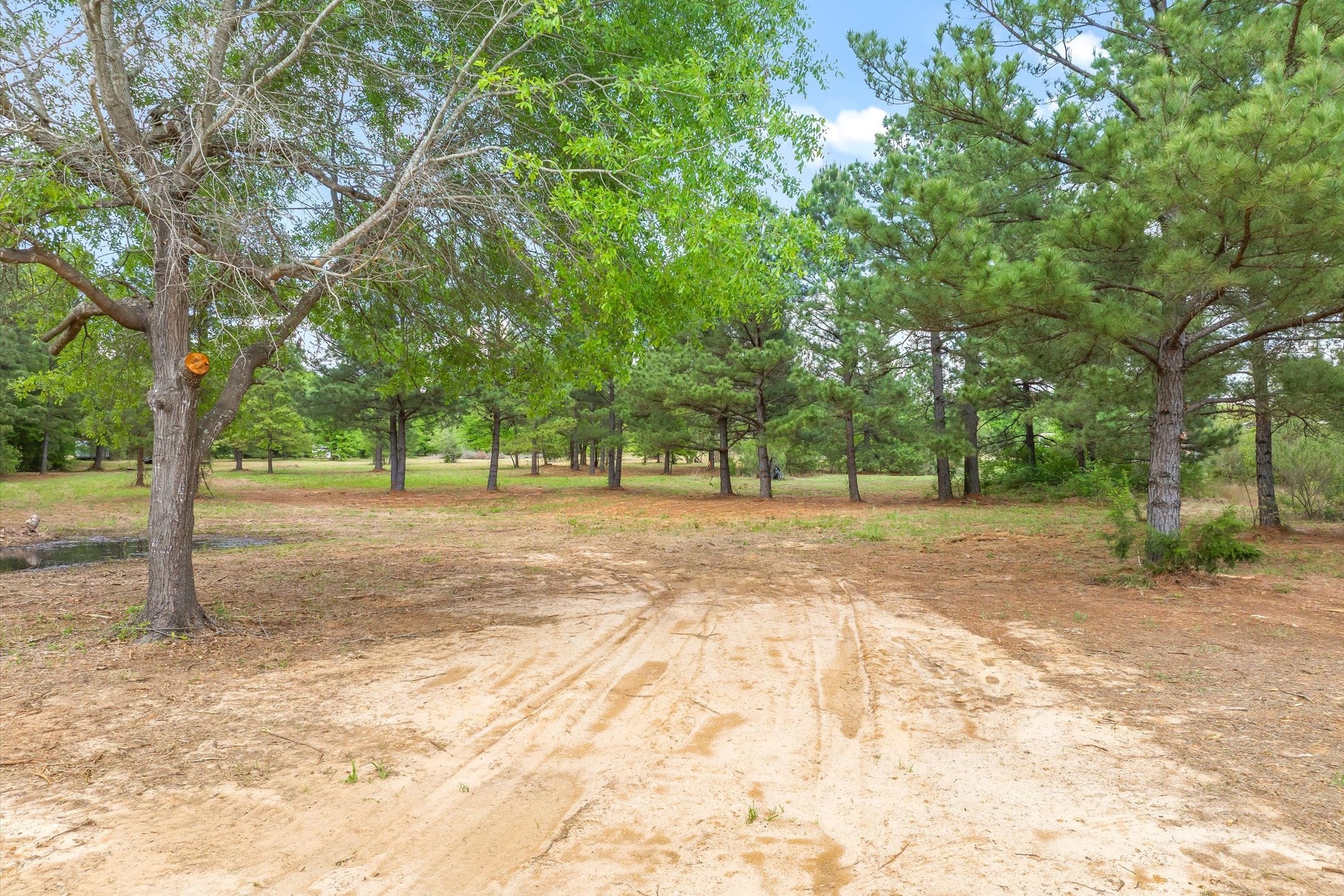 00 Hwy 69, Alba, TX, 75410