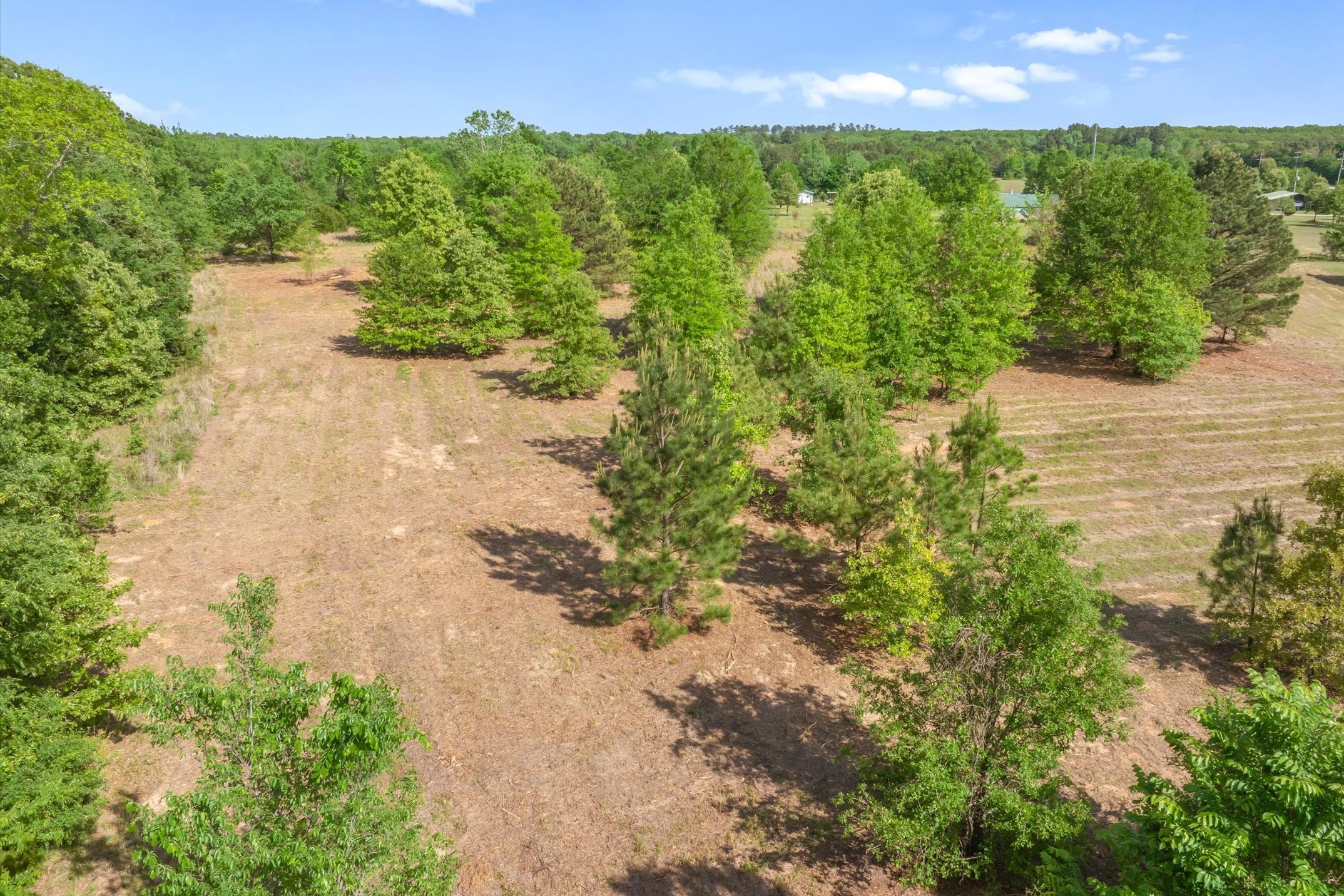 00 Hwy 69, Alba, TX, 75410
