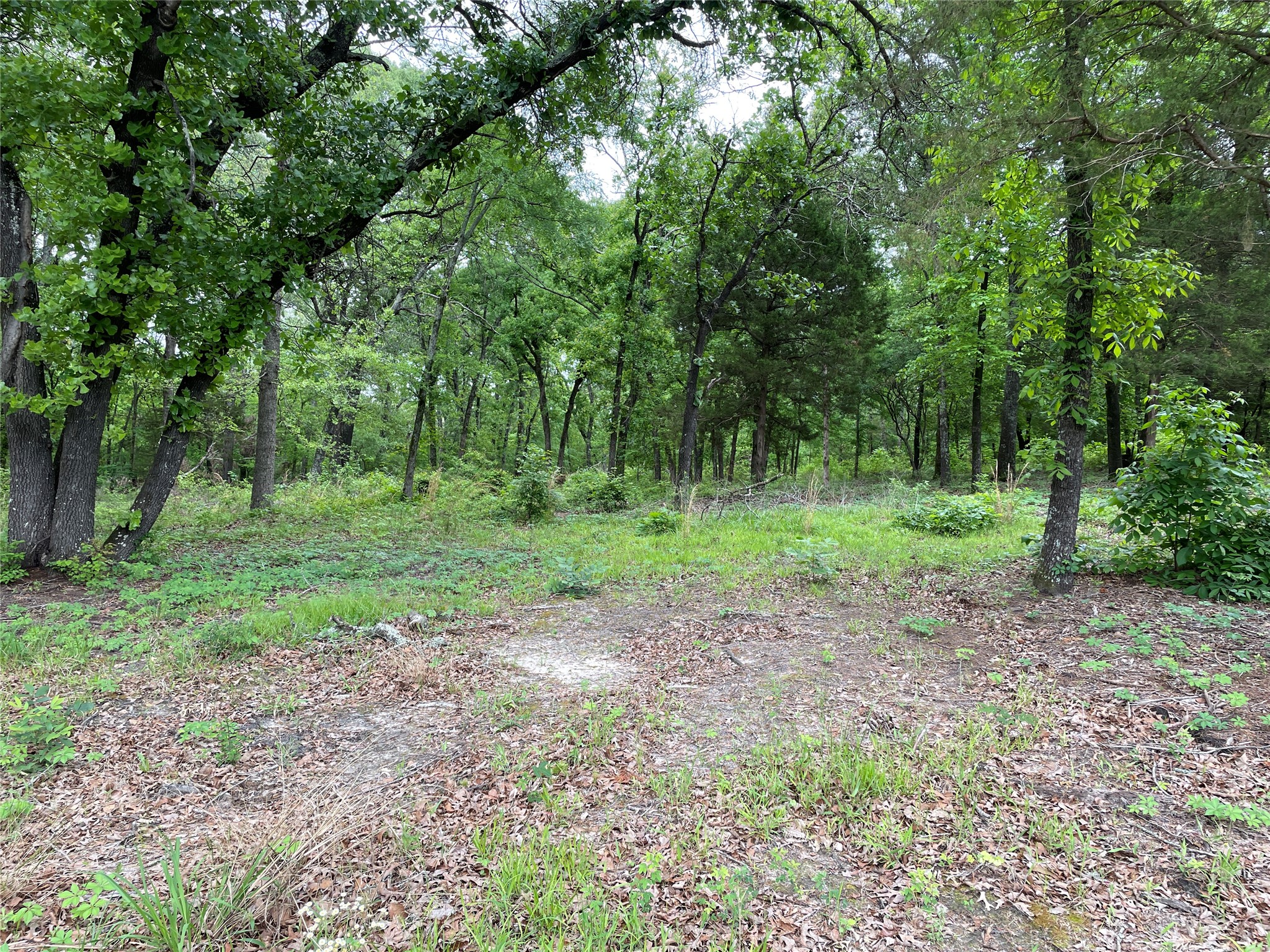 TBD Valle Vista Road, Athens, TX, 75751