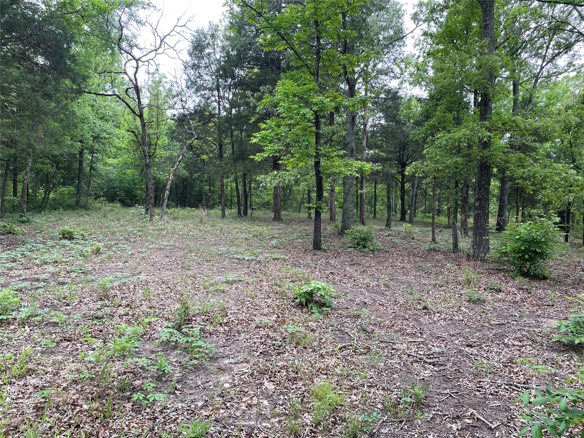 TBD Valle Vista Road, Athens, TX, 75751