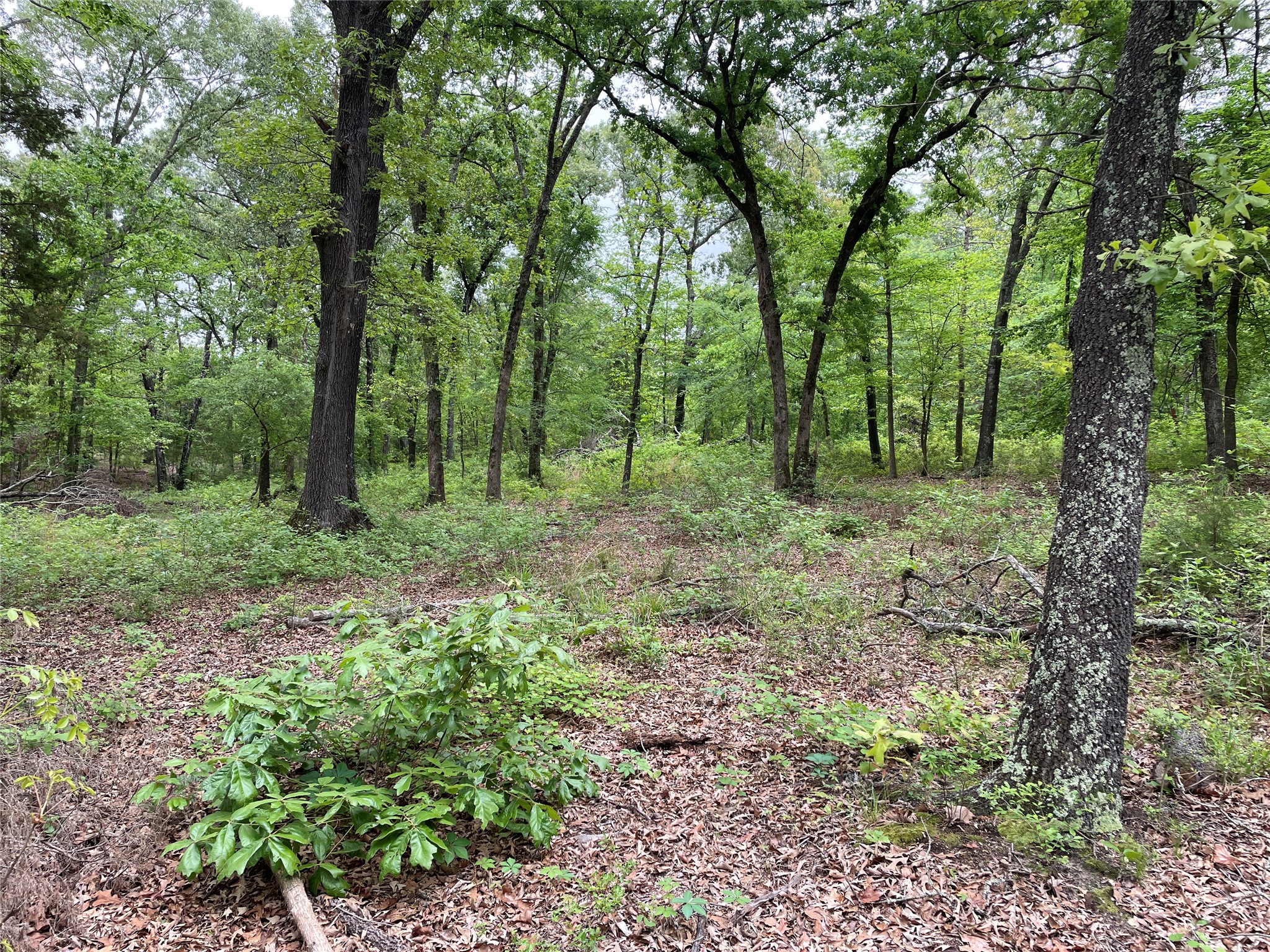 TBD Valle Vista Road, Athens, TX, 75751