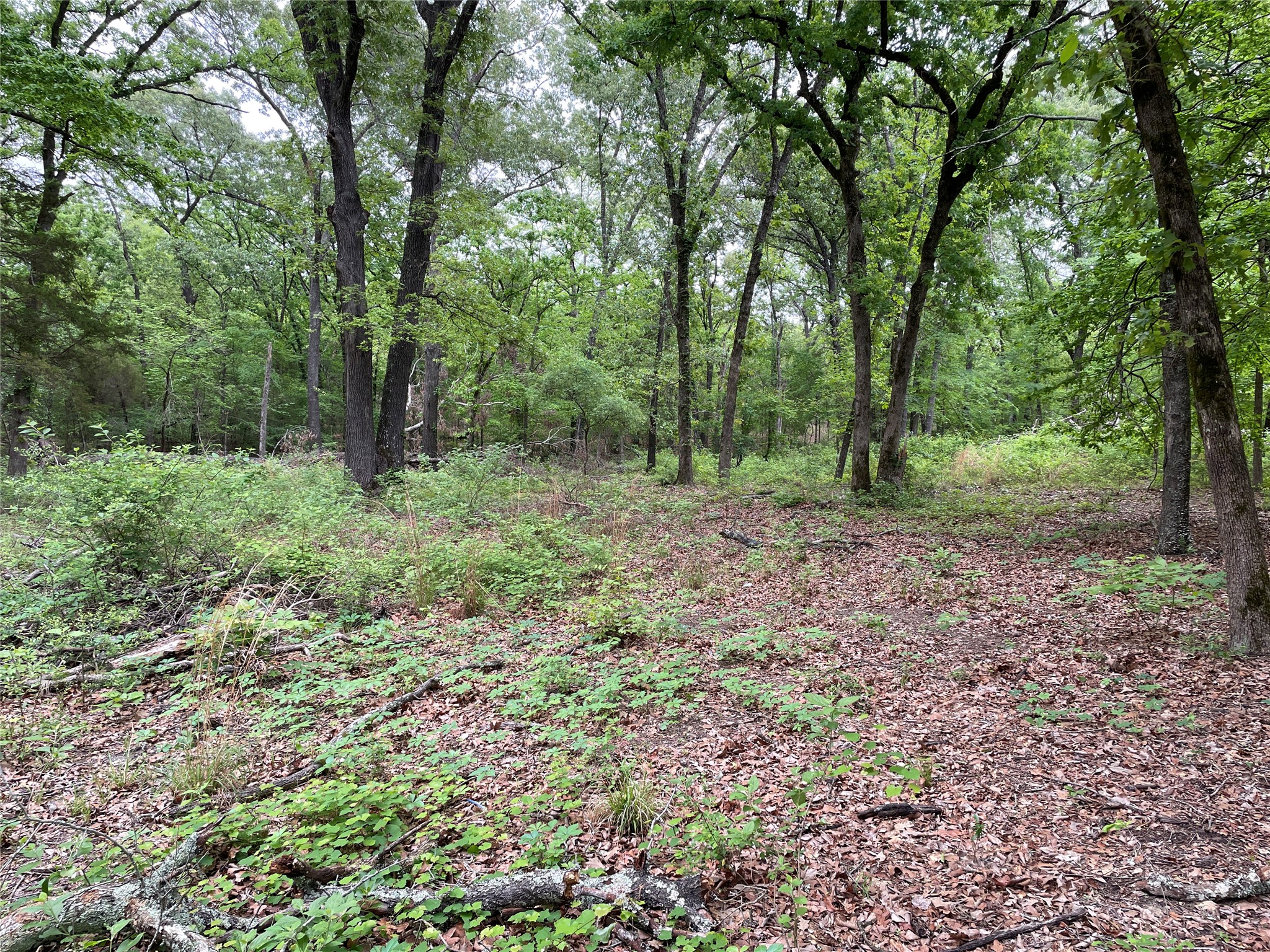 TBD Valle Vista Road, Athens, TX, 75751