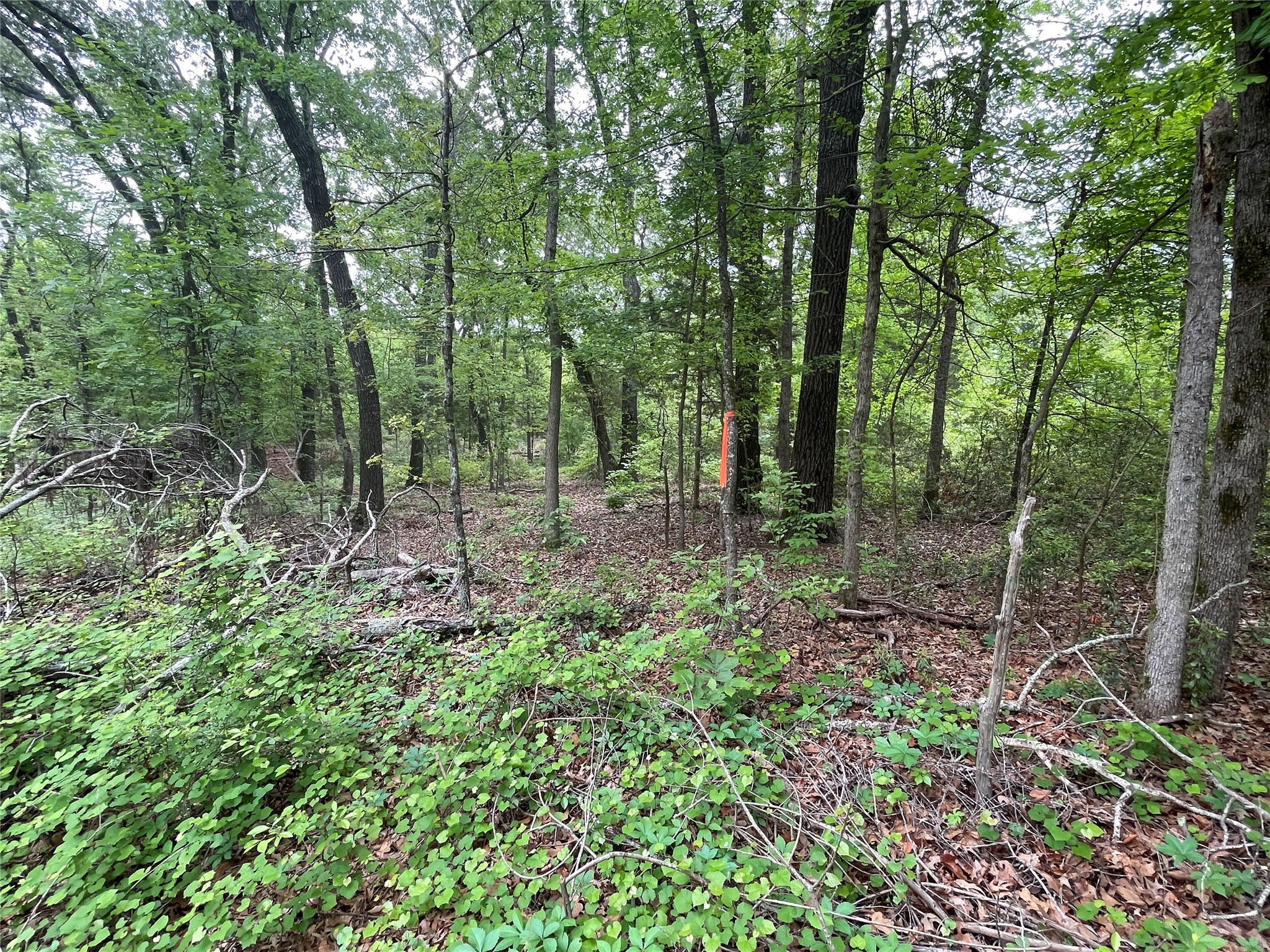 TBD Valle Vista Road, Athens, TX, 75751