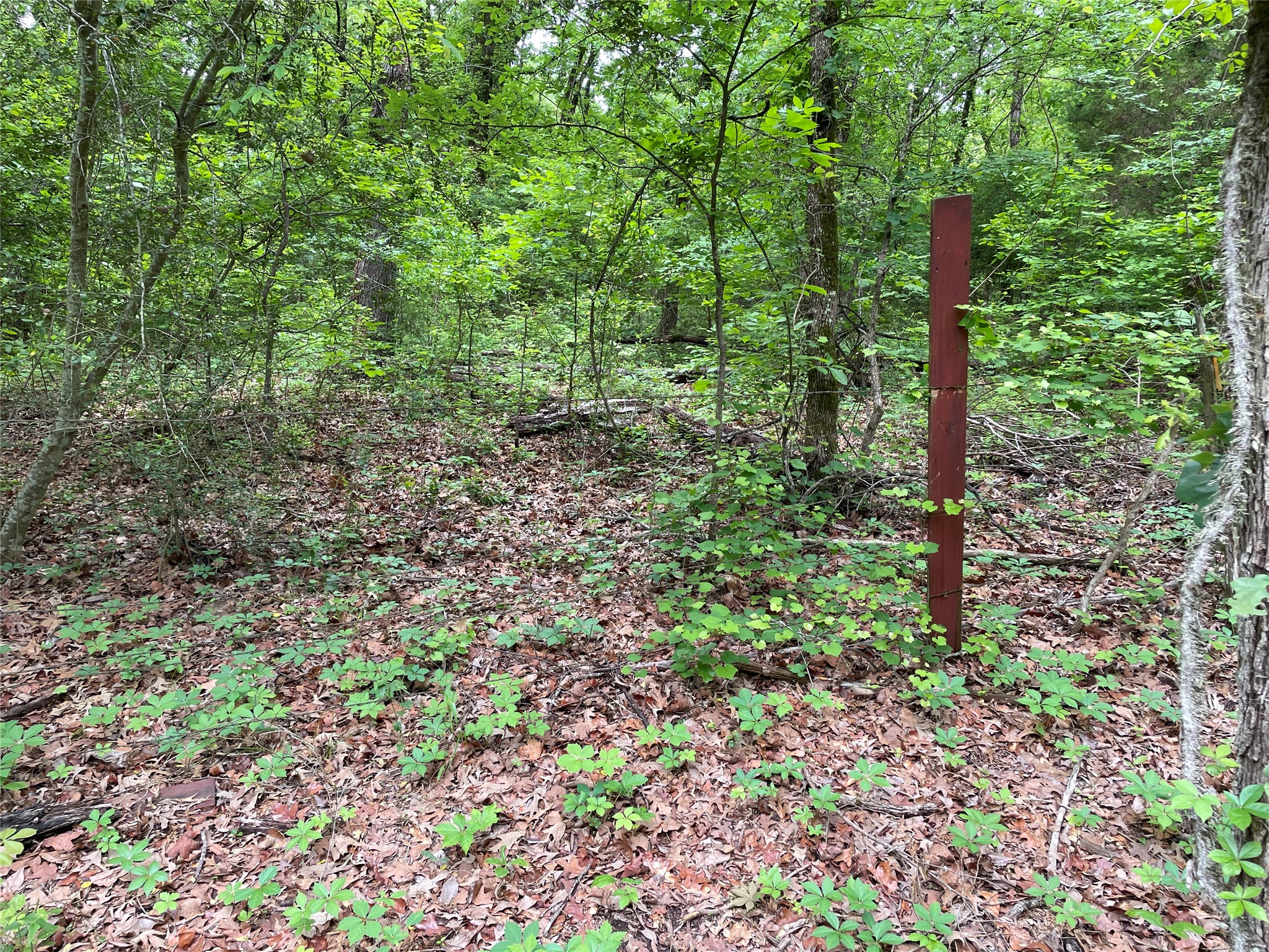 TBD Valle Vista Road, Athens, TX, 75751