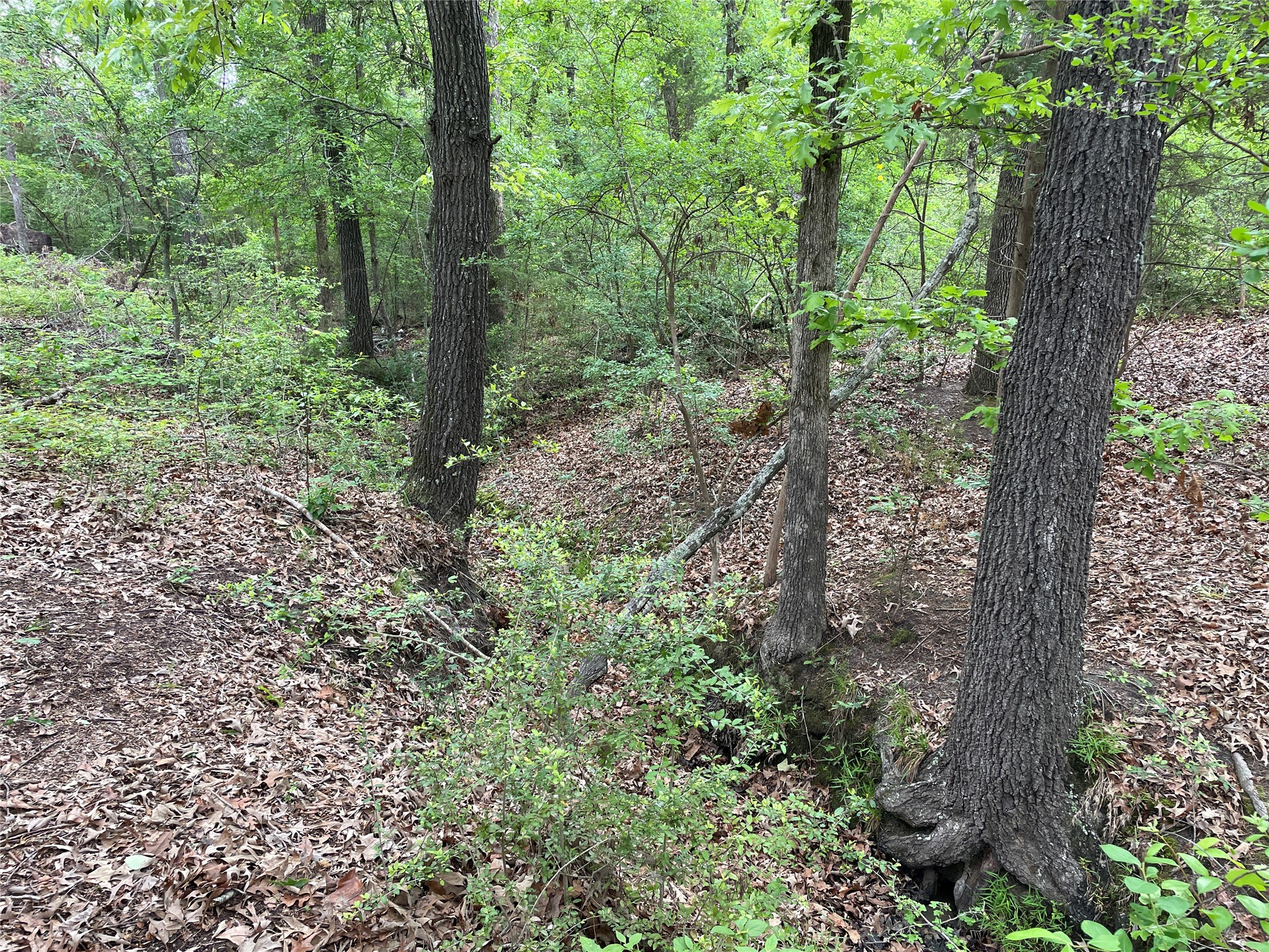 TBD Valle Vista Road, Athens, TX, 75751