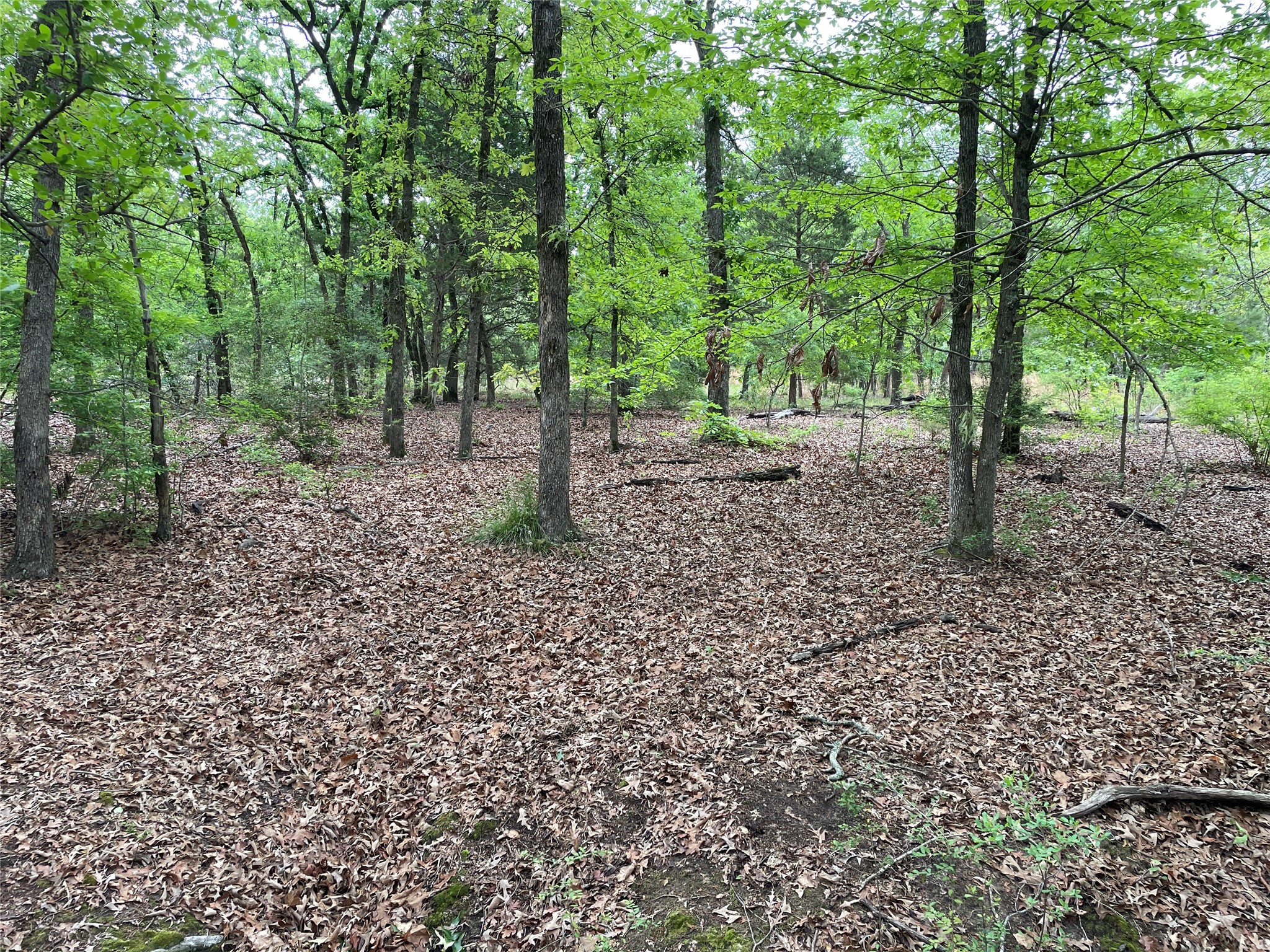 TBD Valle Vista Road, Athens, TX, 75751