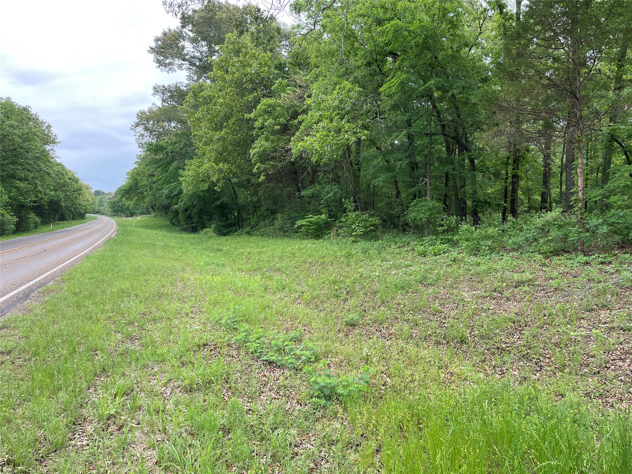 TBD Valle Vista Road, Athens, TX, 75751