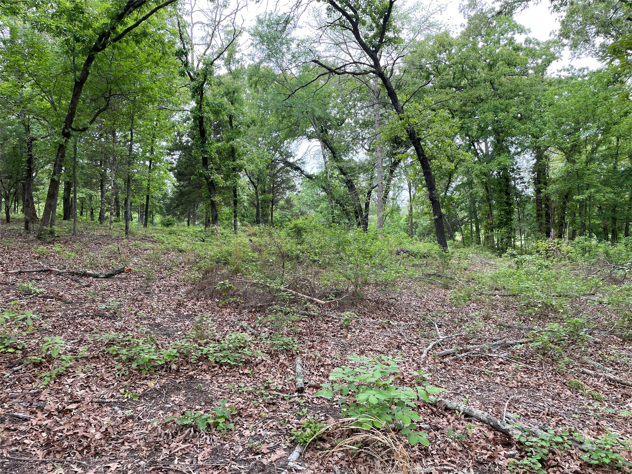TBD Valle Vista Road, Athens, TX, 75751