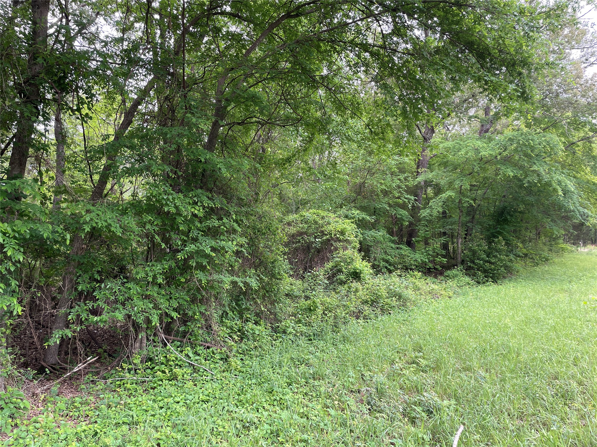 TBD Valle Vista Road, Athens, TX, 75751