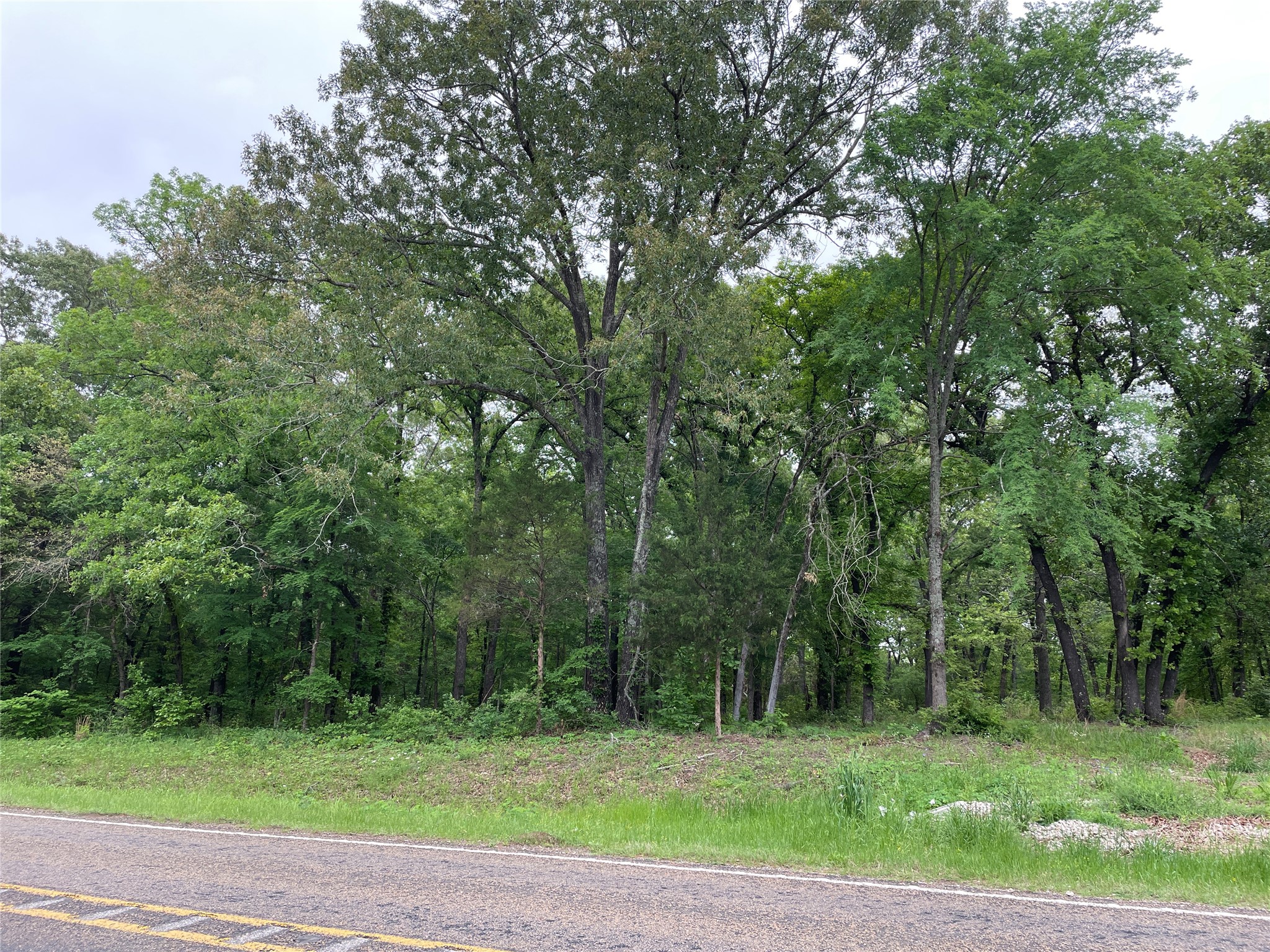 TBD Valle Vista Road, Athens, TX, 75751