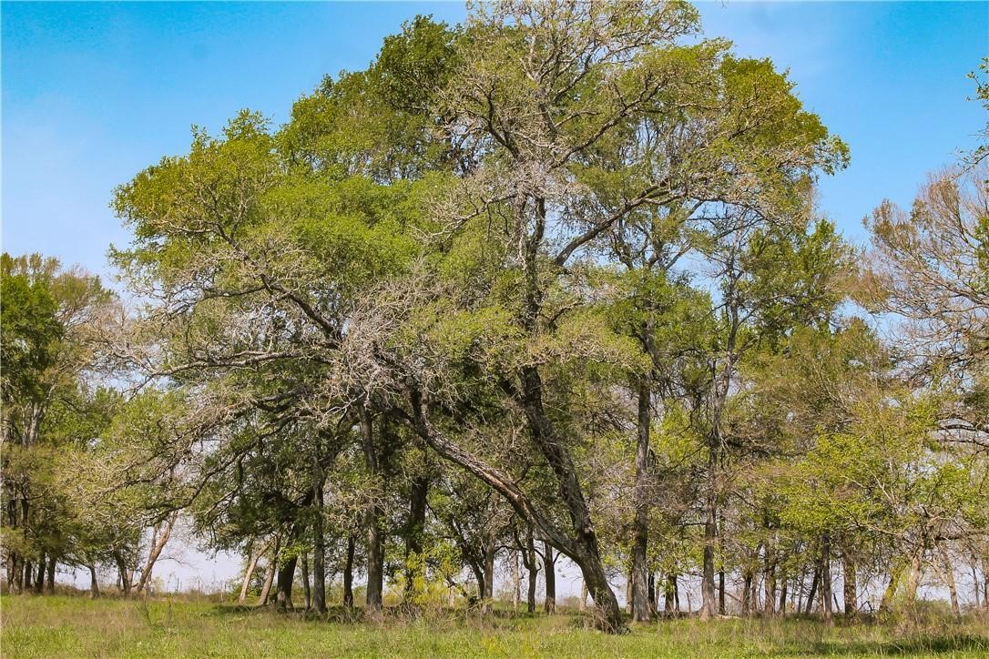 TBD CR 151, Riesel, TX, 76682