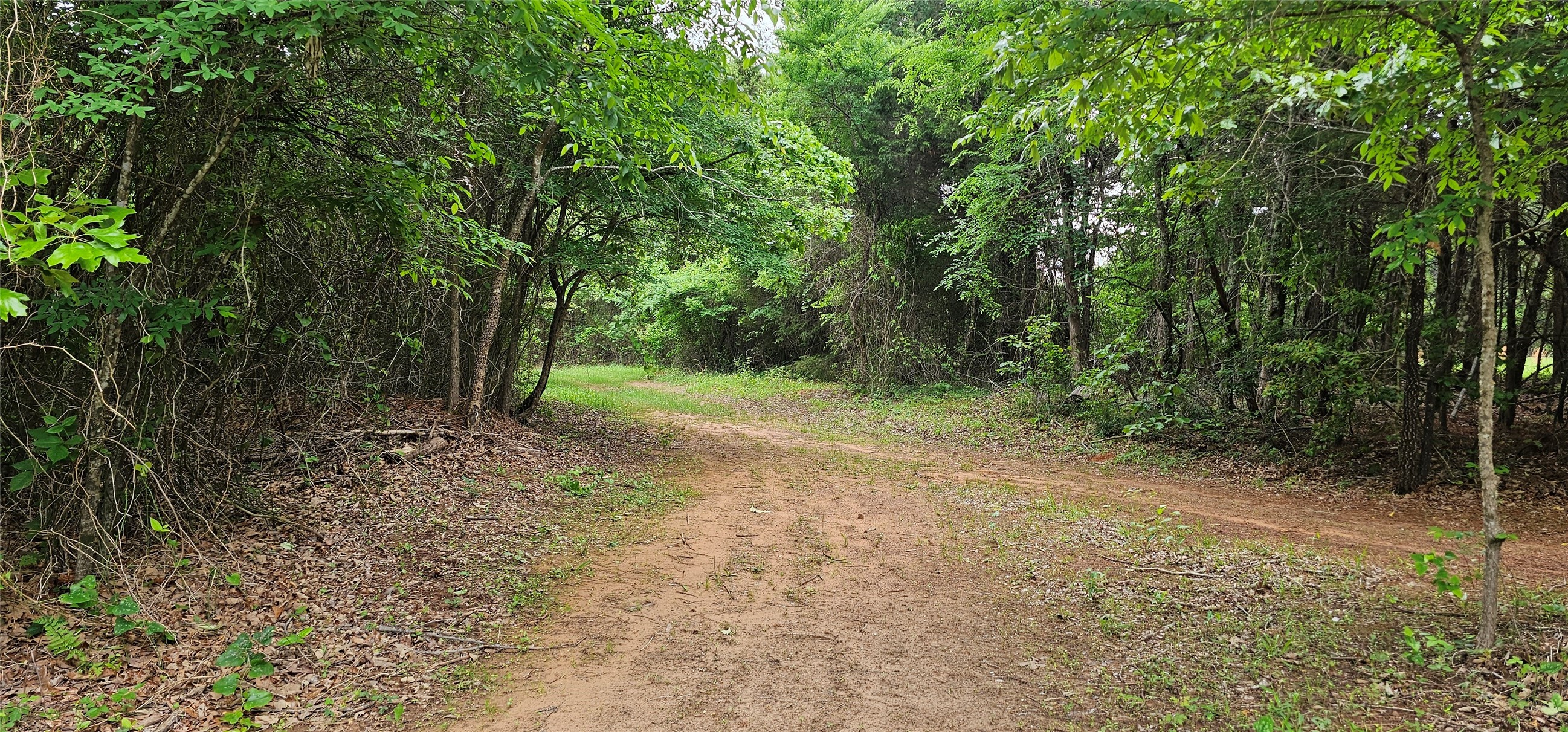 Property photo 01 of TBD VZ County Road 4814 Ben, Wheeler, TX 75754 | MLS #21240621