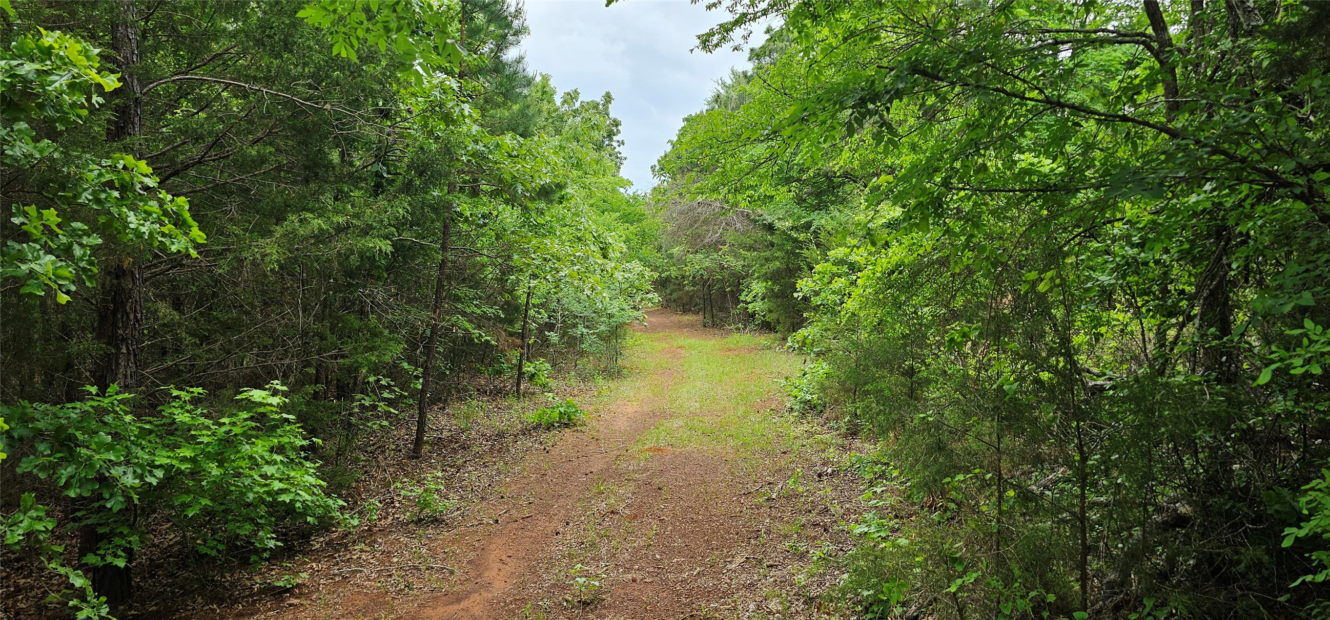Property photo 02 of TBD VZ County Road 4814 Ben, Wheeler, TX 75754 | MLS #21240621