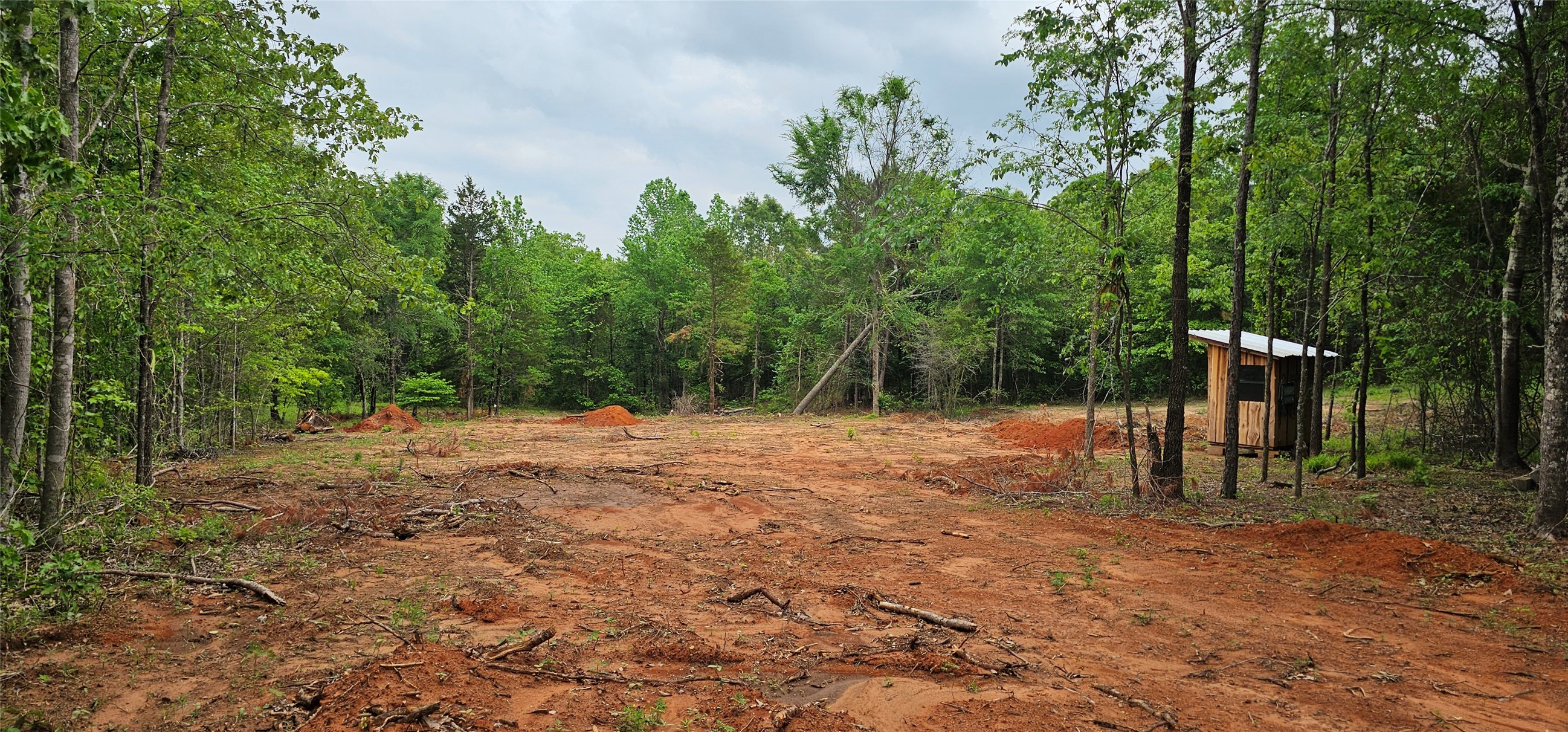 Property photo 04 of TBD VZ County Road 4814 Ben, Wheeler, TX 75754 | MLS #21240621