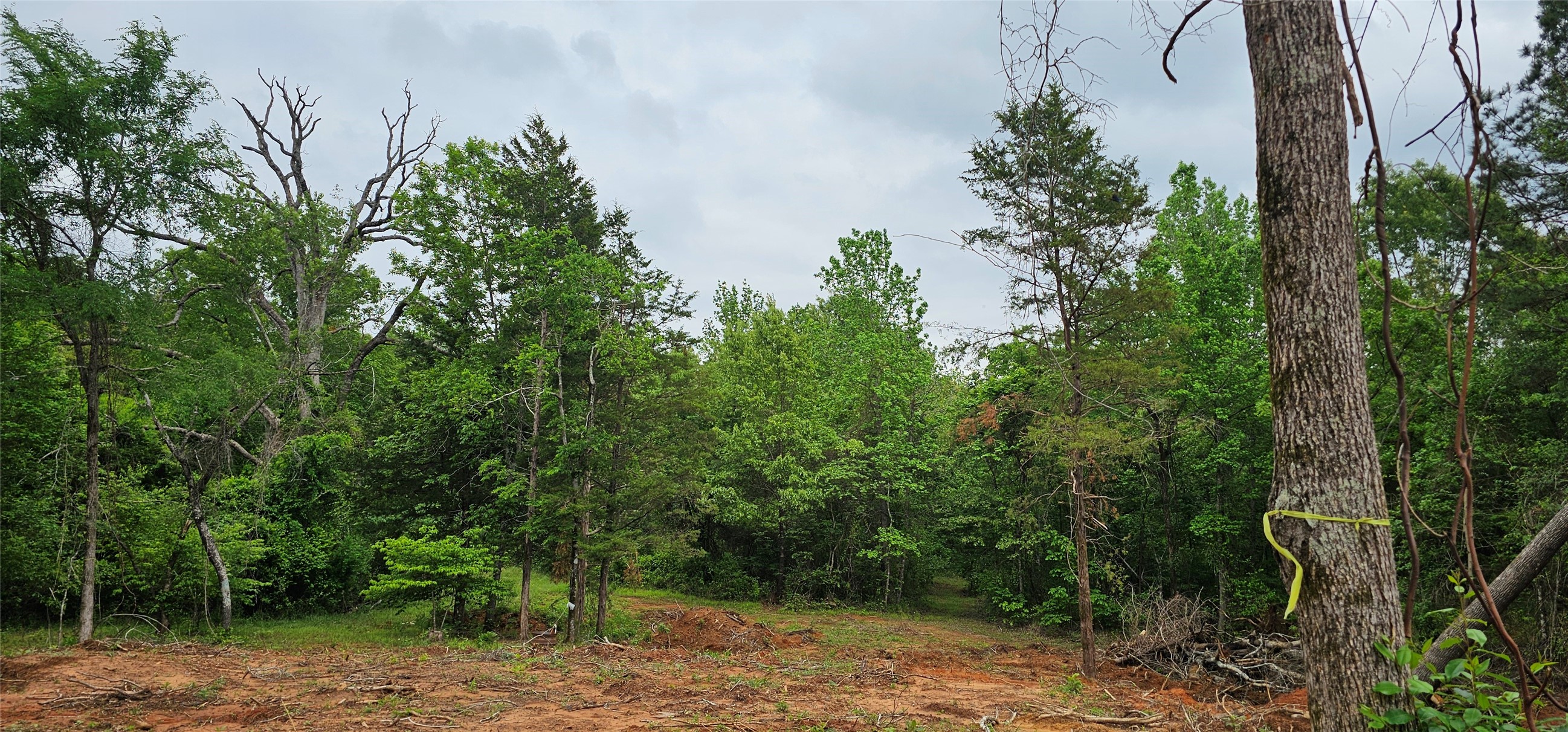 TBD VZ County Road 4814, Ben Wheeler, TX, 75754