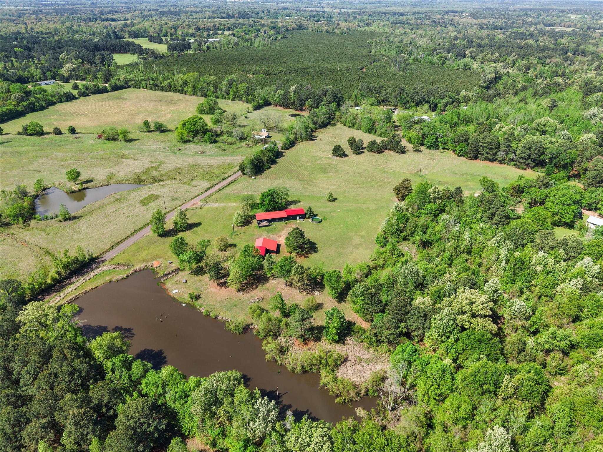 1333 Lupine Road, Gilmer, TX, 75644