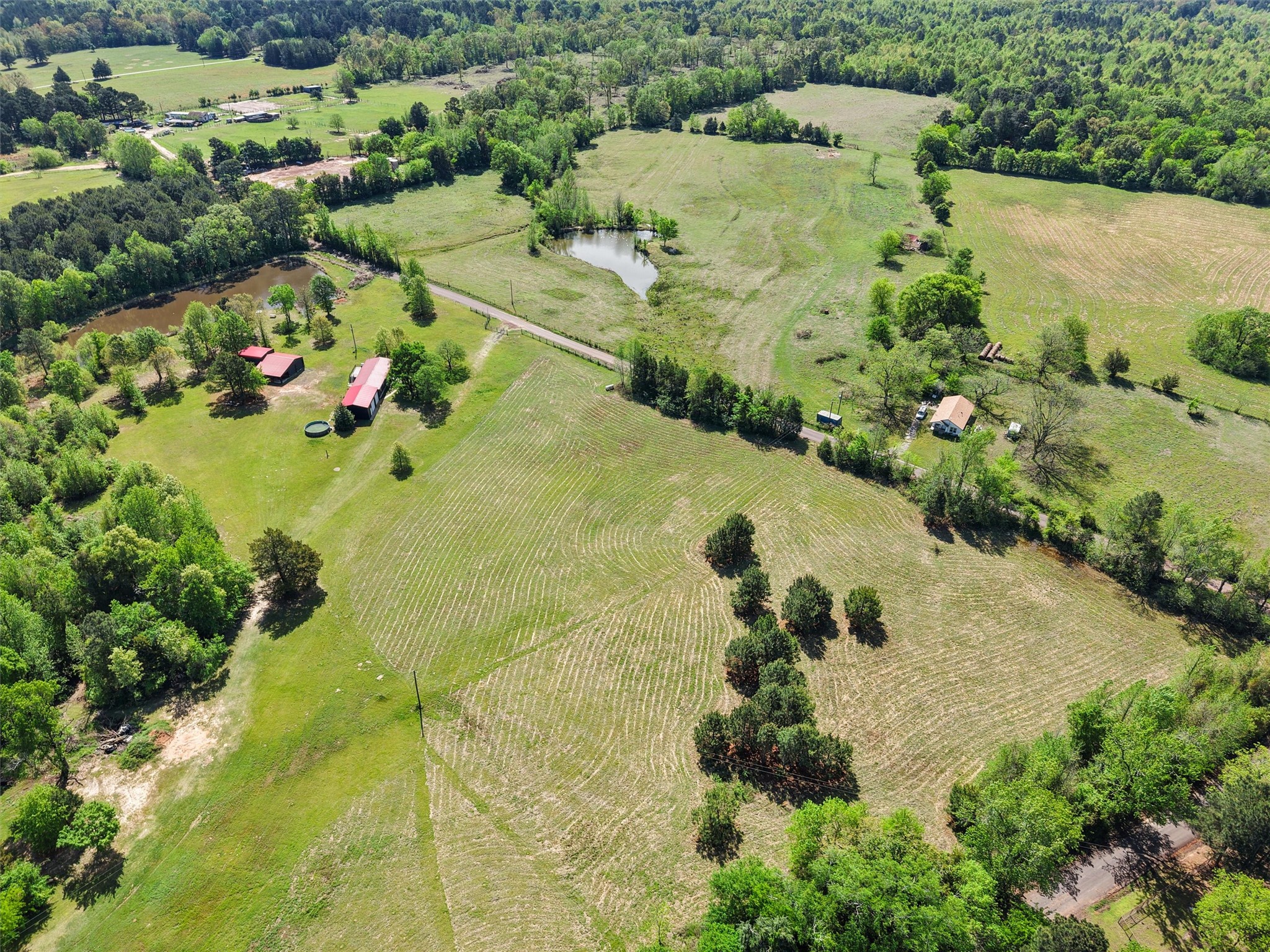 1333 Lupine Road, Gilmer, TX, 75644