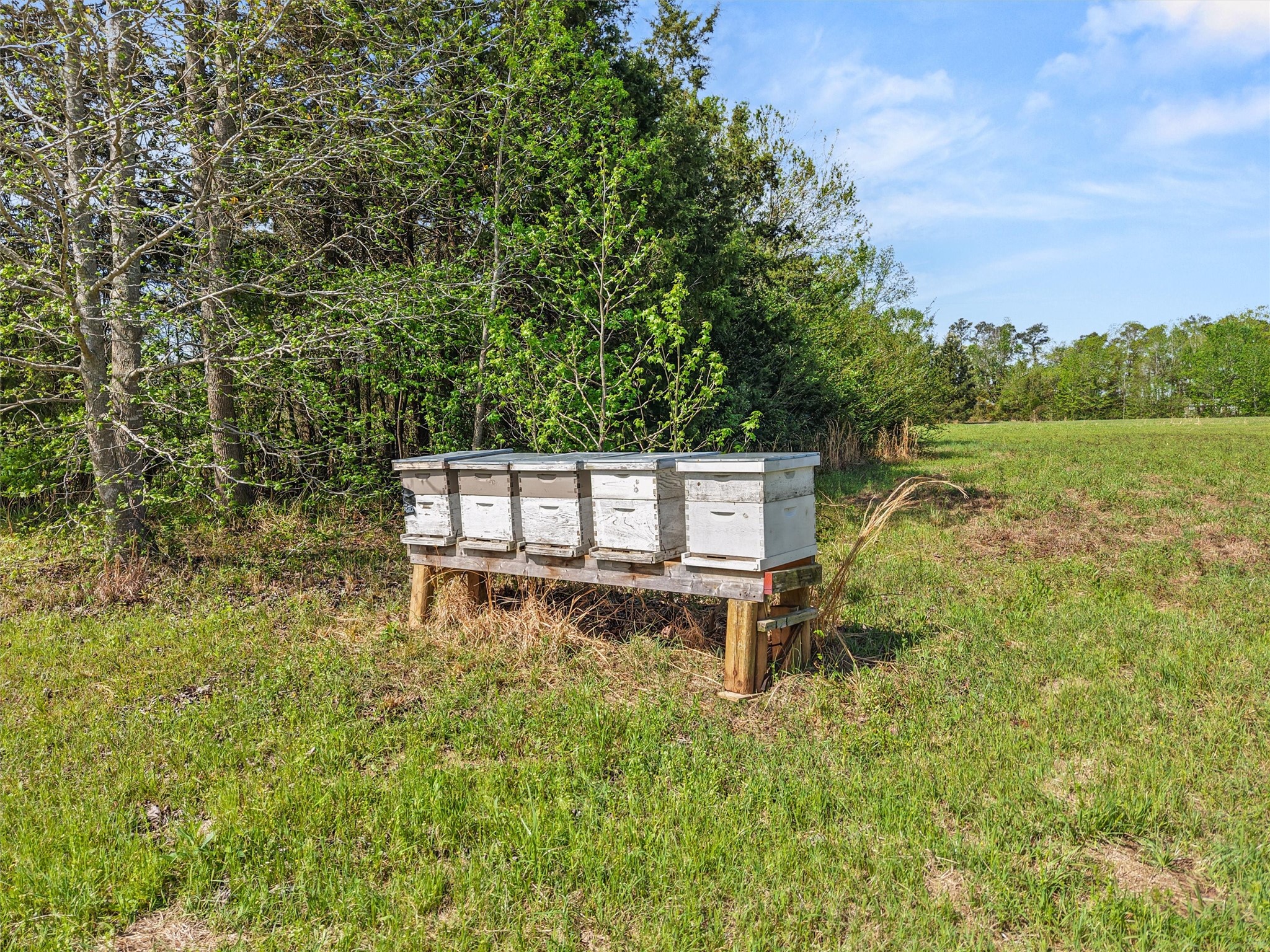 1333 Lupine Road, Gilmer, TX, 75644