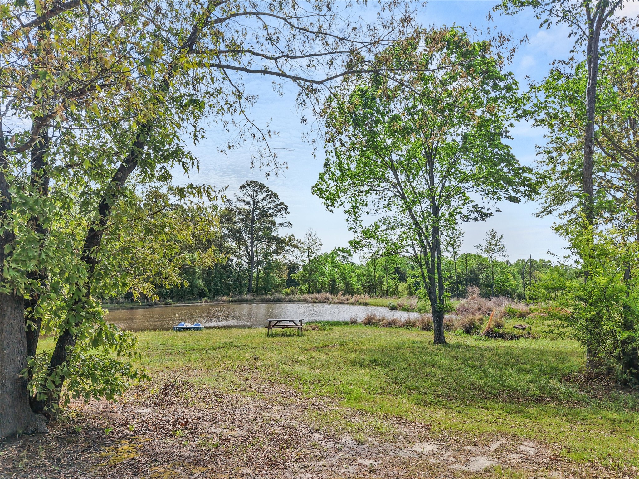 1333 Lupine Road, Gilmer, TX, 75644