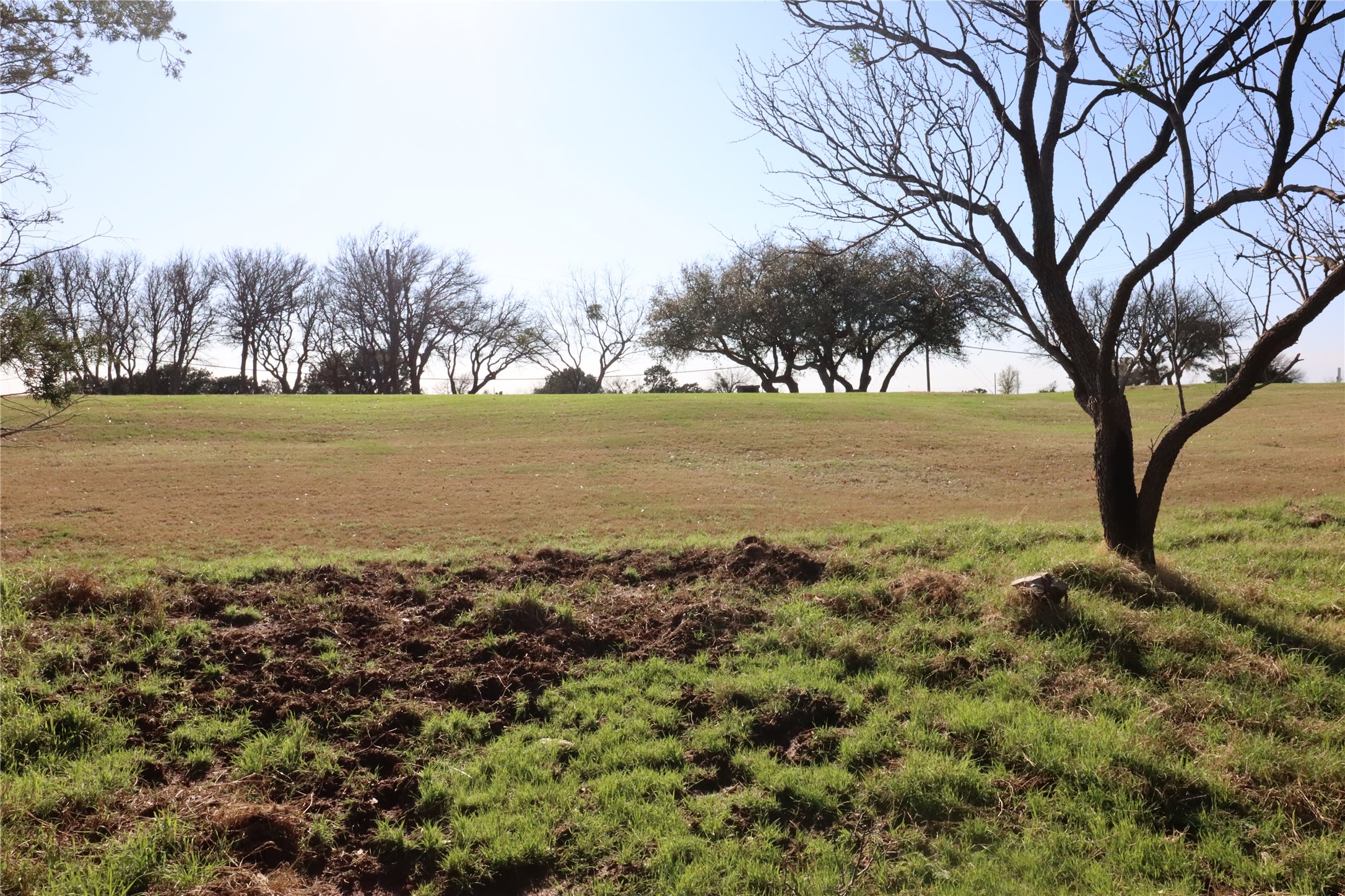 12 Shoal Creek Circle, Graford, TX, 76449