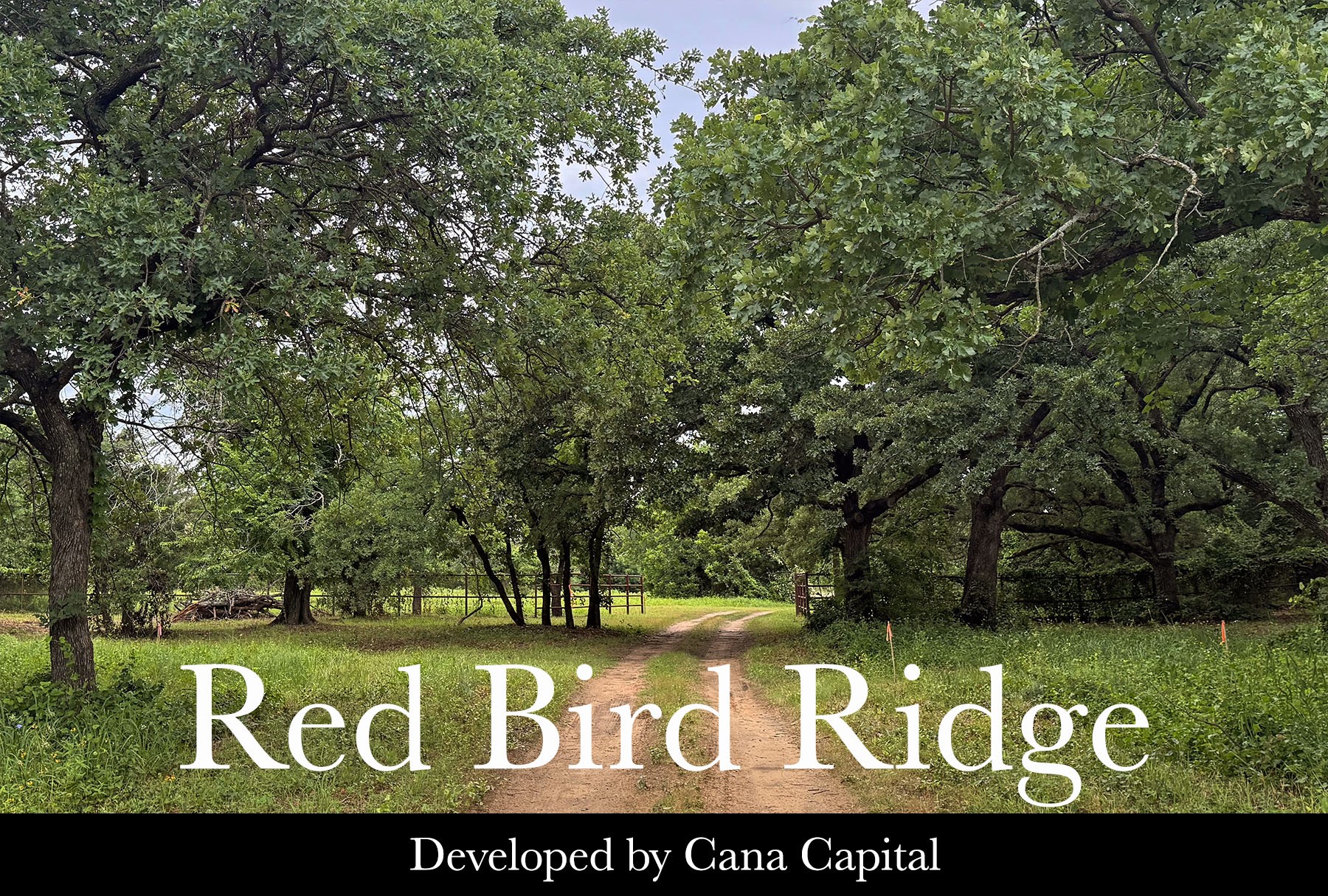1111 Ellen Donald Lane, Argyle, TX, 76226