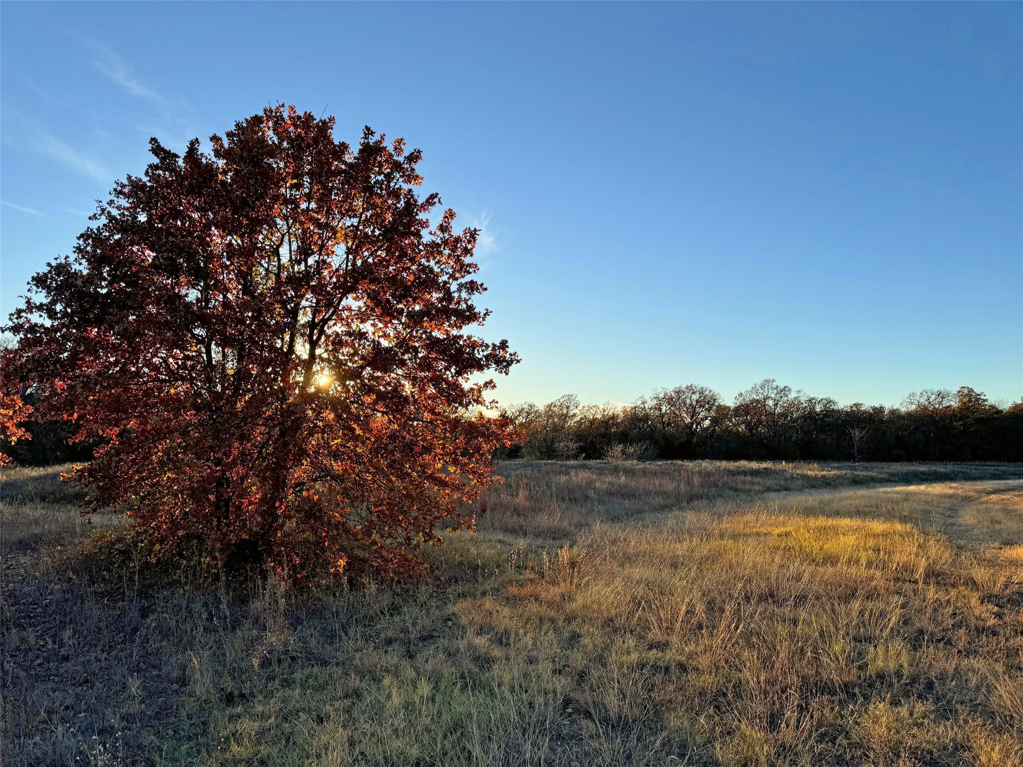 1111 Ellen Donald Lane, Argyle, TX, 76226