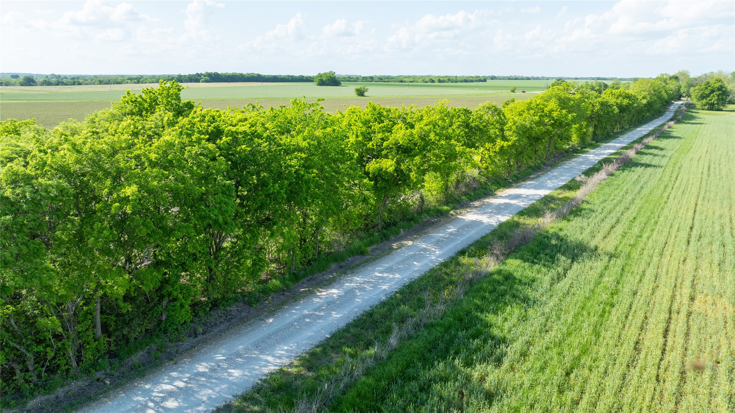 TBD Lot 3 CR 26150, Roxton, TX, 75477