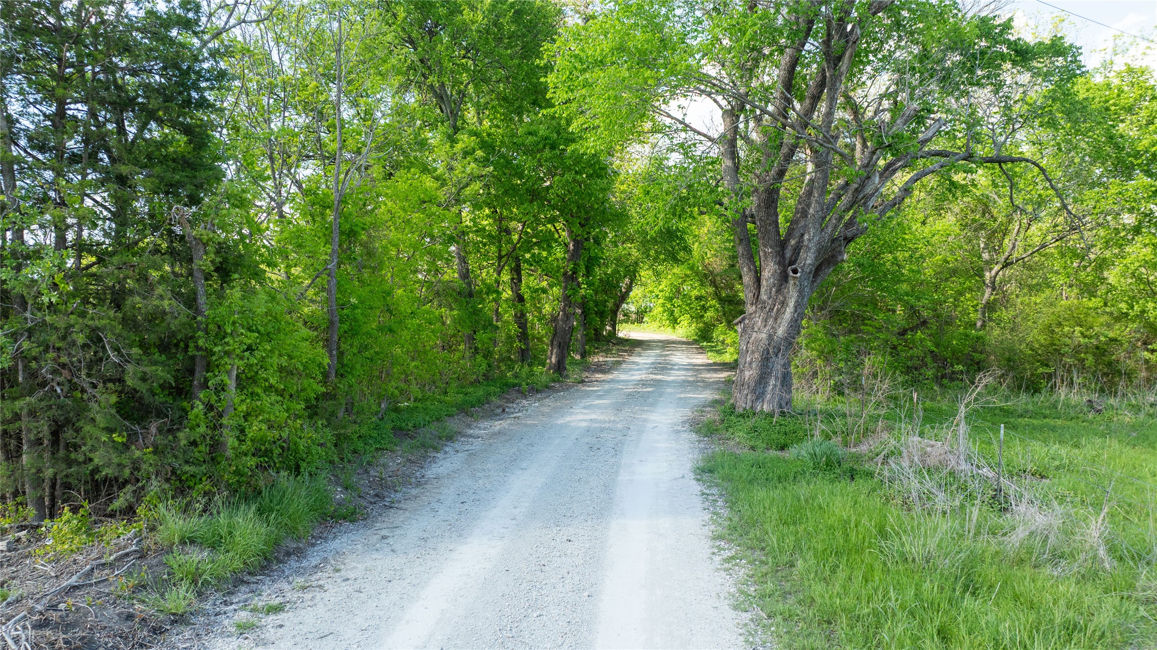 TBD Lot 3 CR 26150, Roxton, TX, 75477