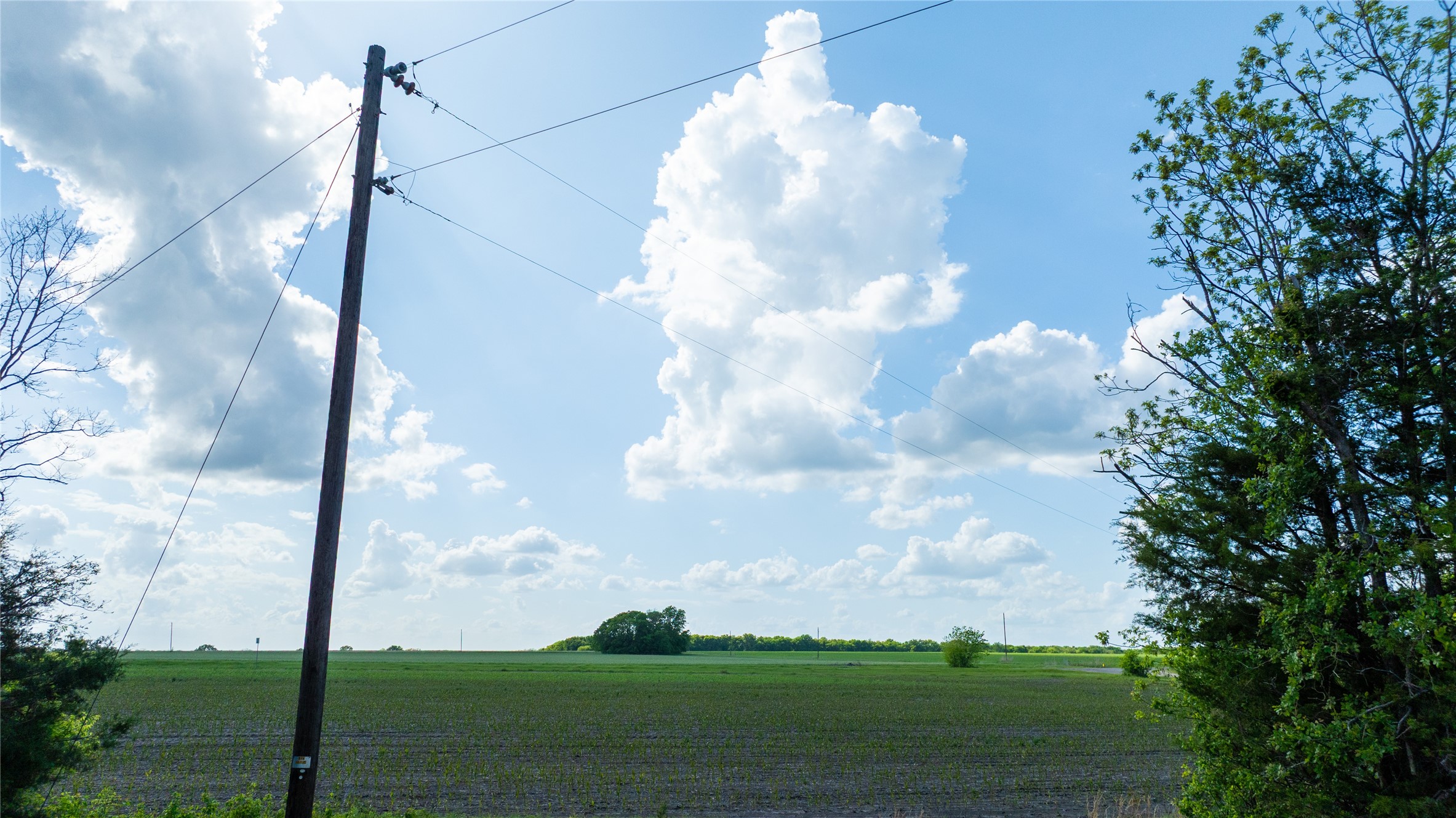 TBD Lot 3 CR 26150, Roxton, TX, 75477