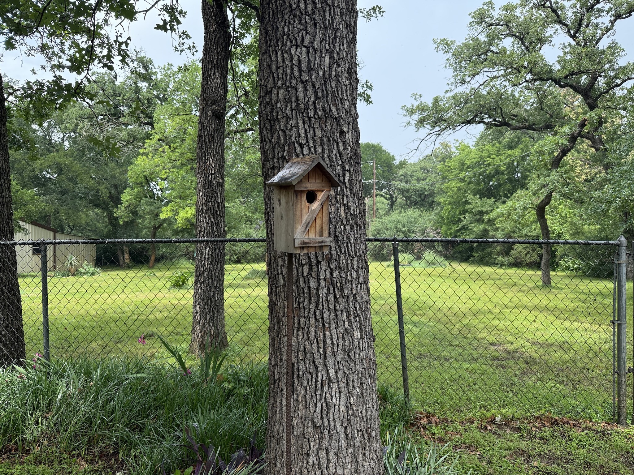 2009 Thousand Oaks Drive, Burleson, TX, 76028