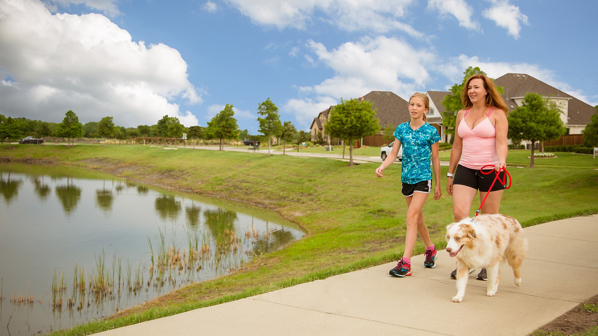 1740 Grenache Drive, Mclendon Chisholm, TX, 75032