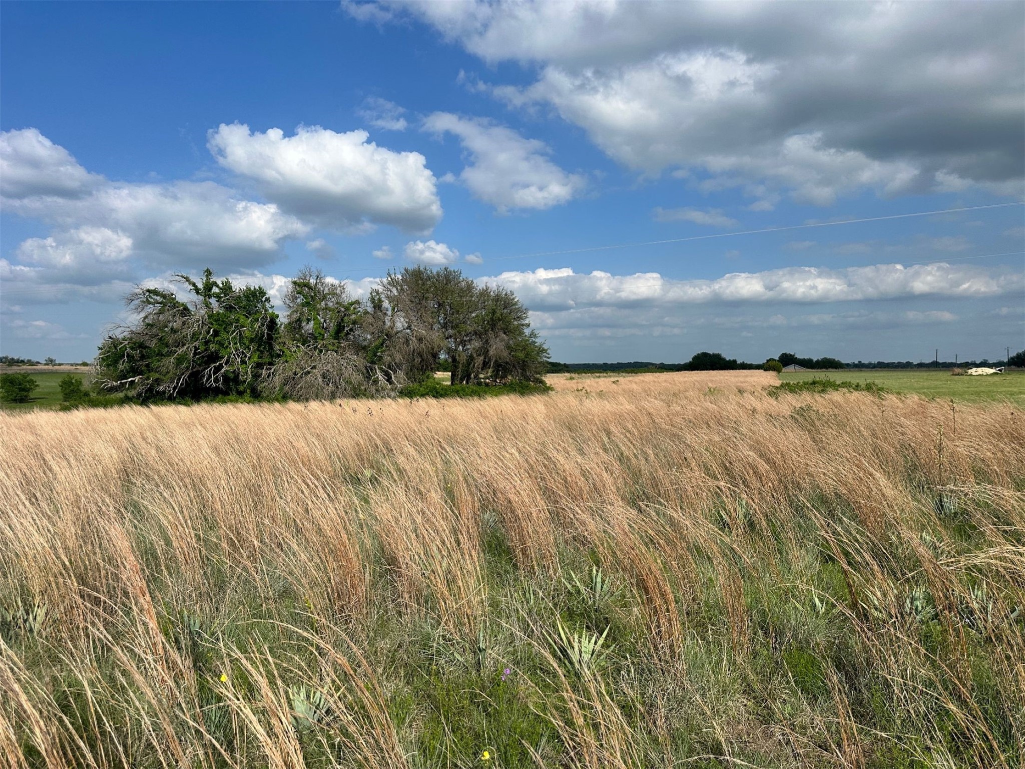TBD C R 438, Dublin, TX, 76446