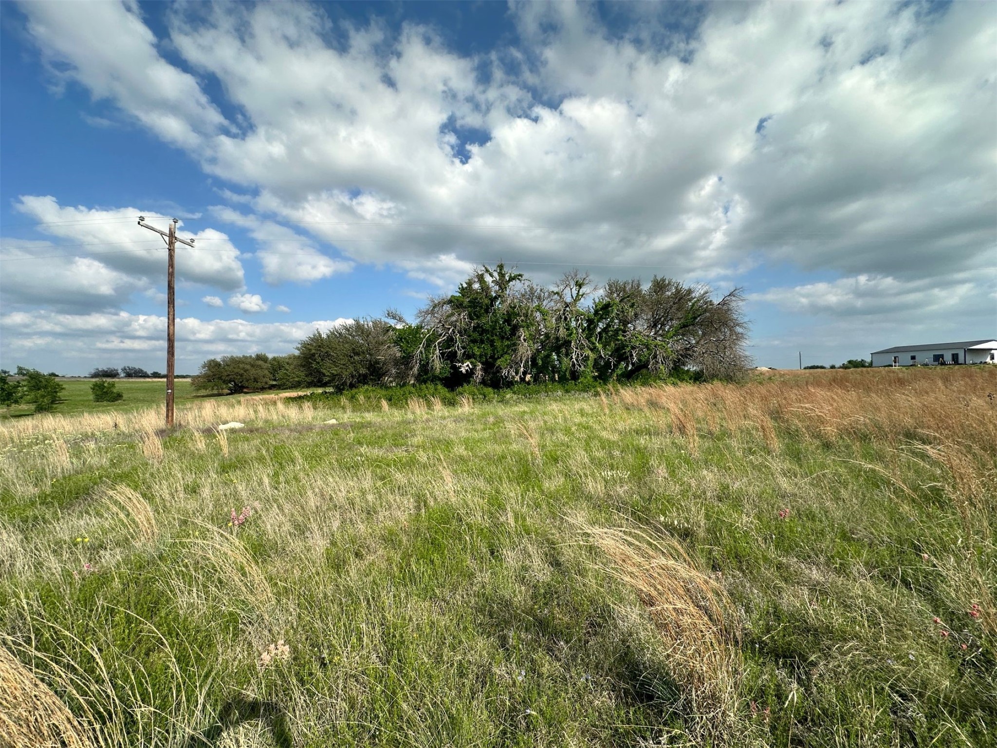 TBD C R 438, Dublin, TX, 76446