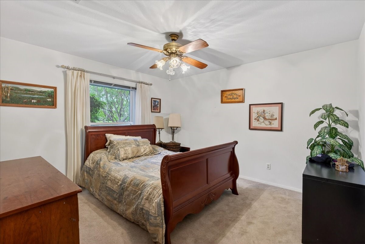 1808 E Cedar Elm Drive, Arlington, TX, 76012