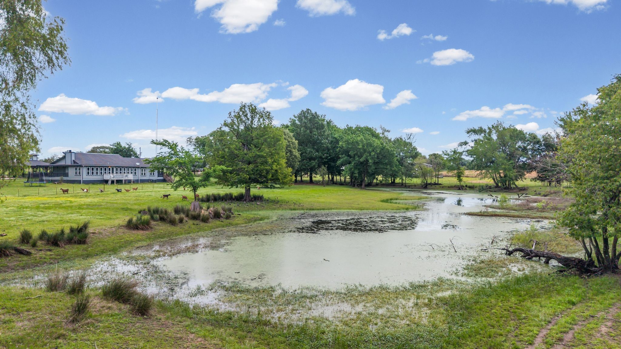 451 Vz County Road 1118, Grand Saline, TX, 75140