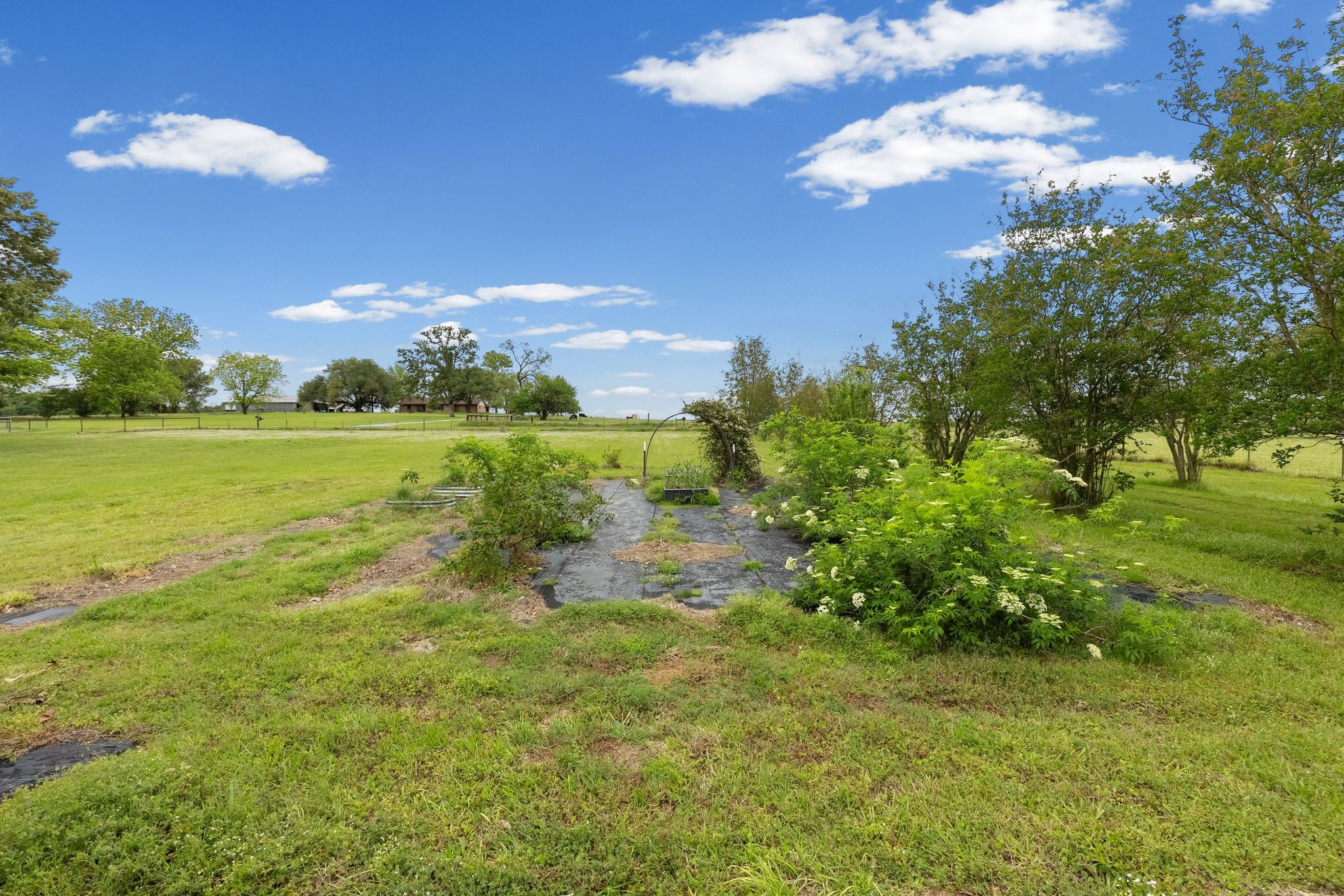 451 Vz County Road 1118, Grand Saline, TX, 75140