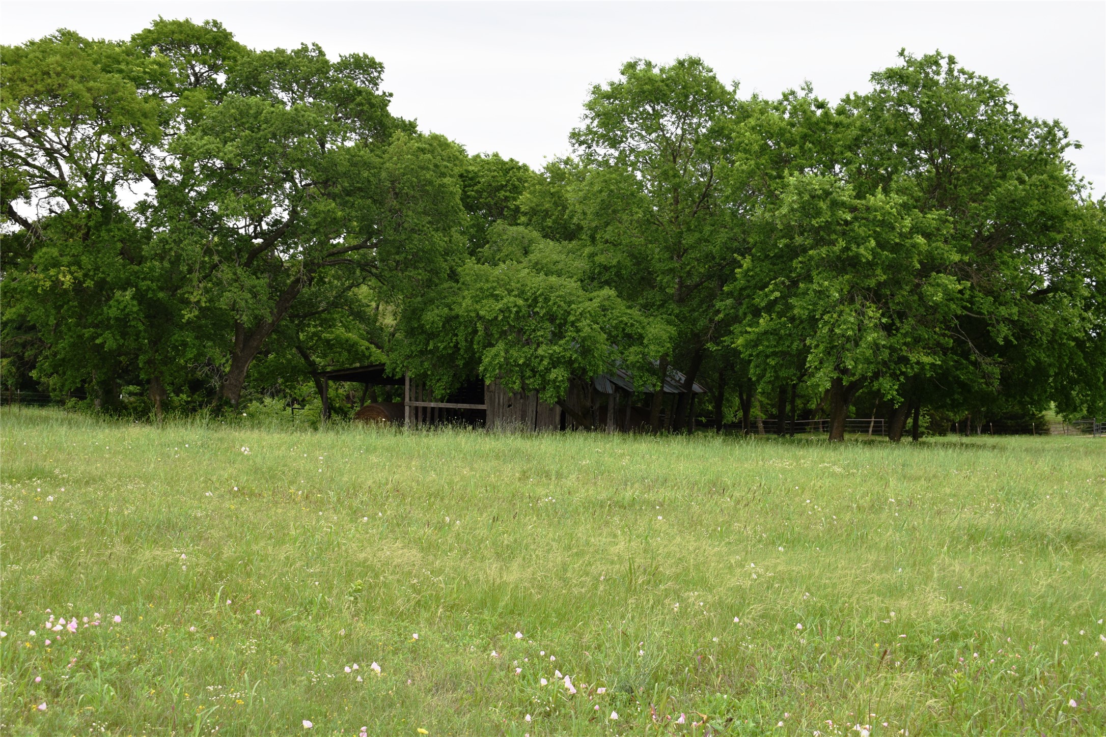 Lot 2 County Road 632, Blue Ridge, TX, 75424