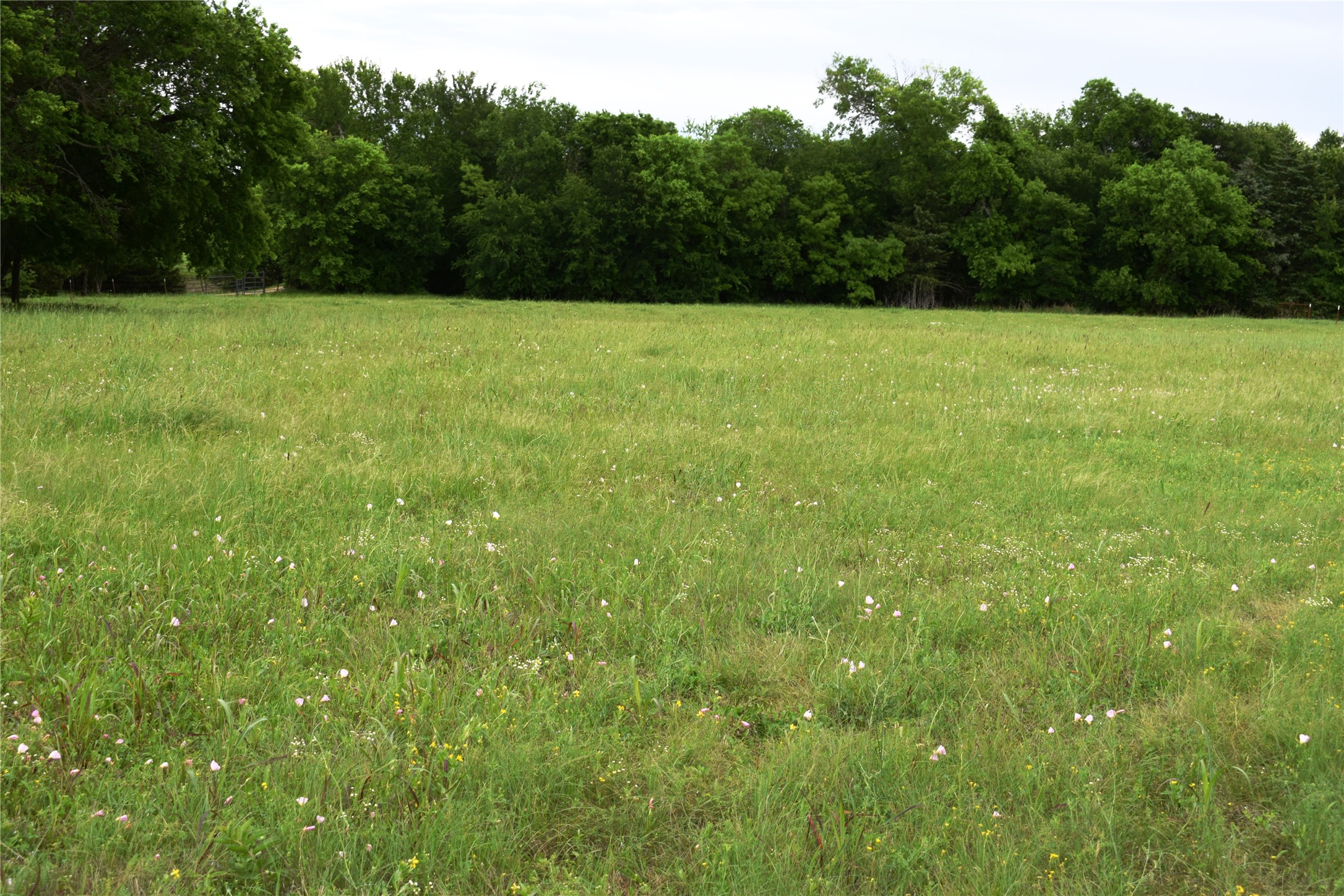 Lot 2 County Road 632, Blue Ridge, TX, 75424