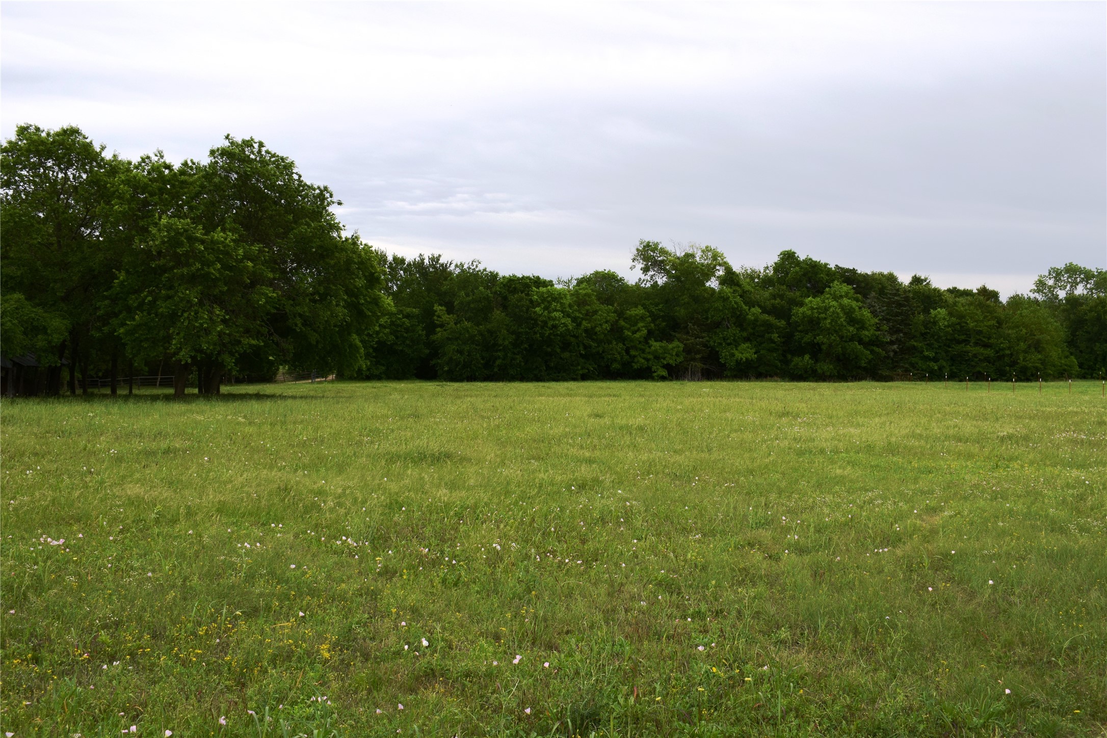 Lot 2 County Road 632, Blue Ridge, TX, 75424