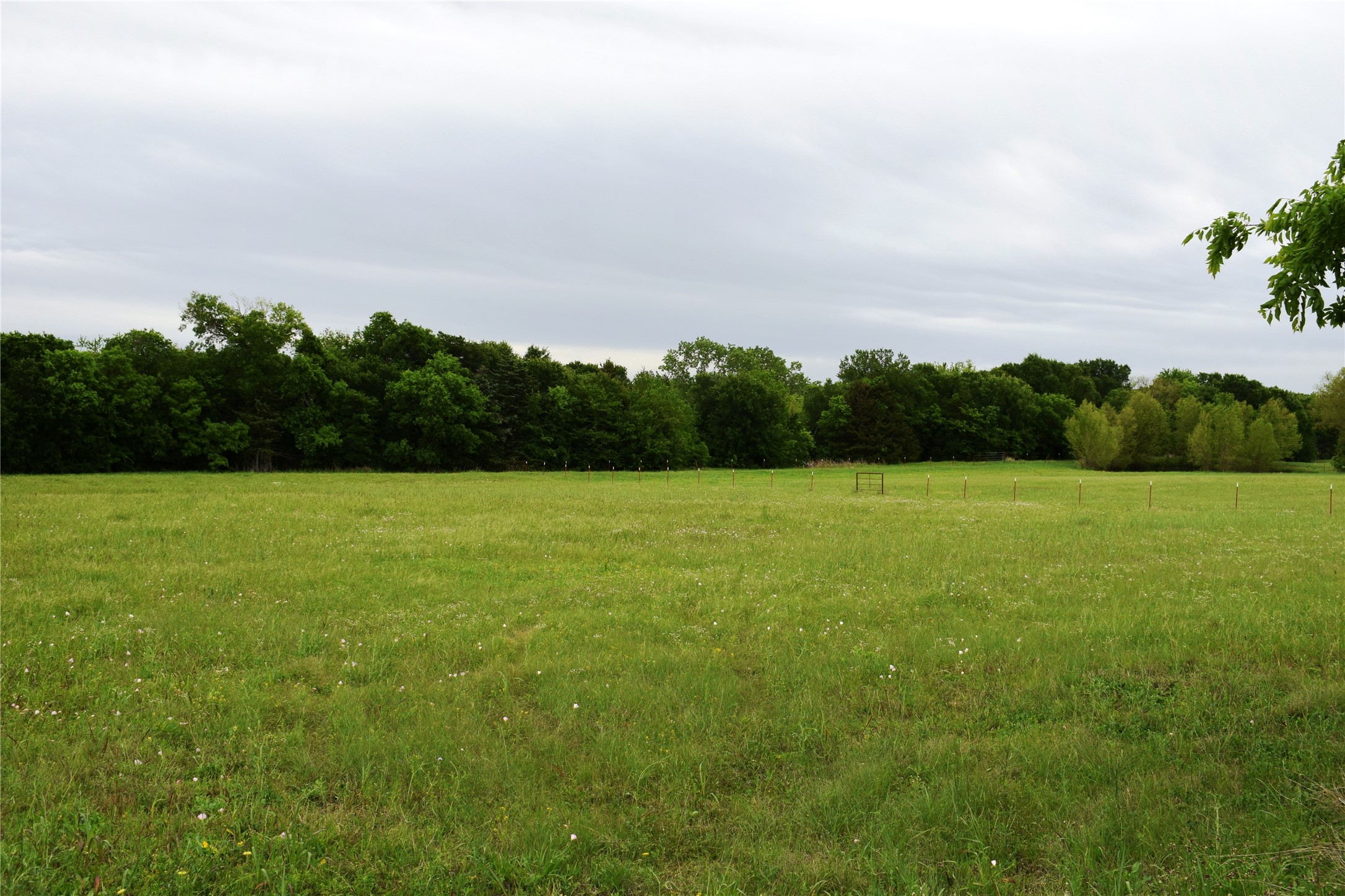 Lot 2 County Road 632, Blue Ridge, TX, 75424