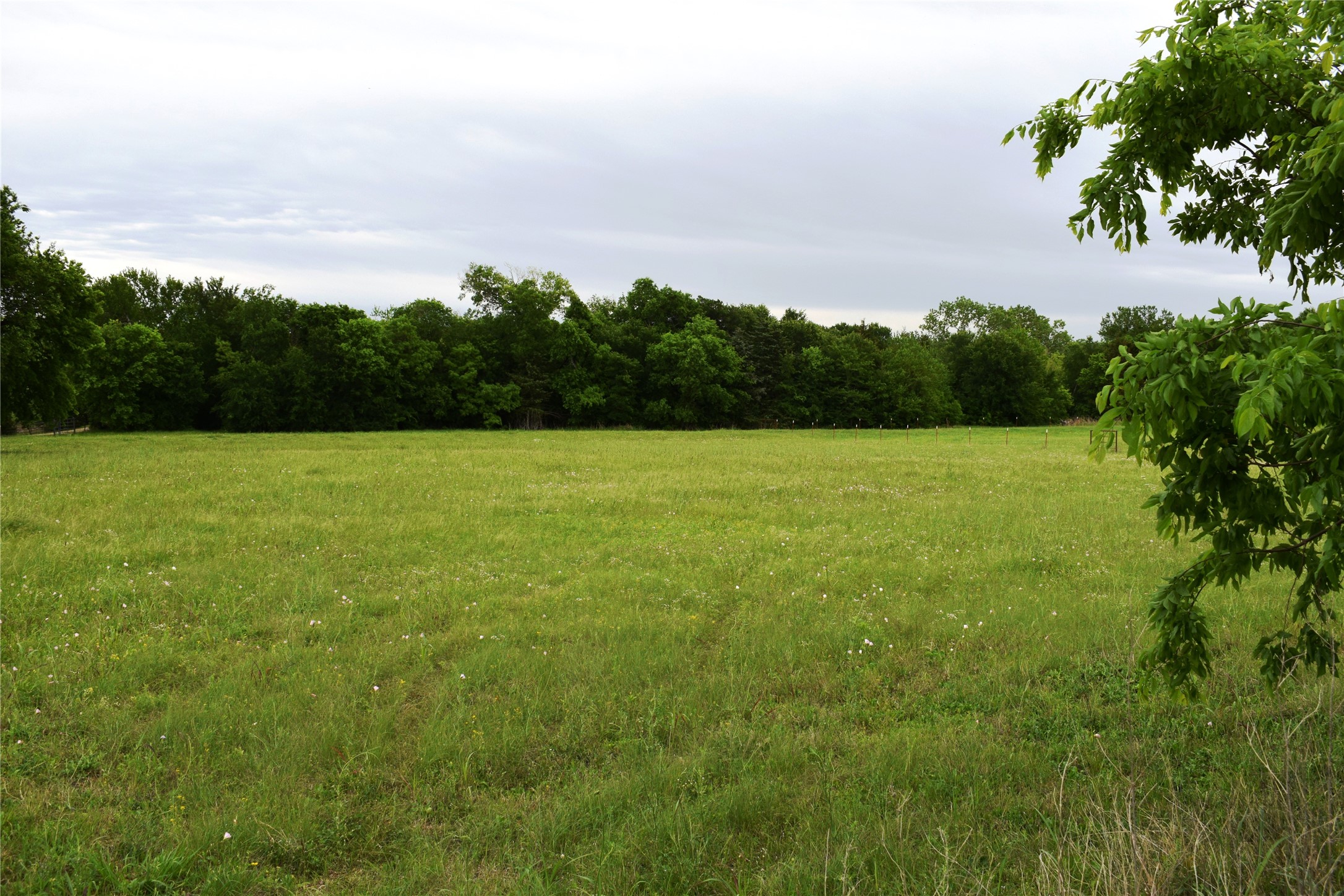 Lot 2 County Road 632, Blue Ridge, TX, 75424