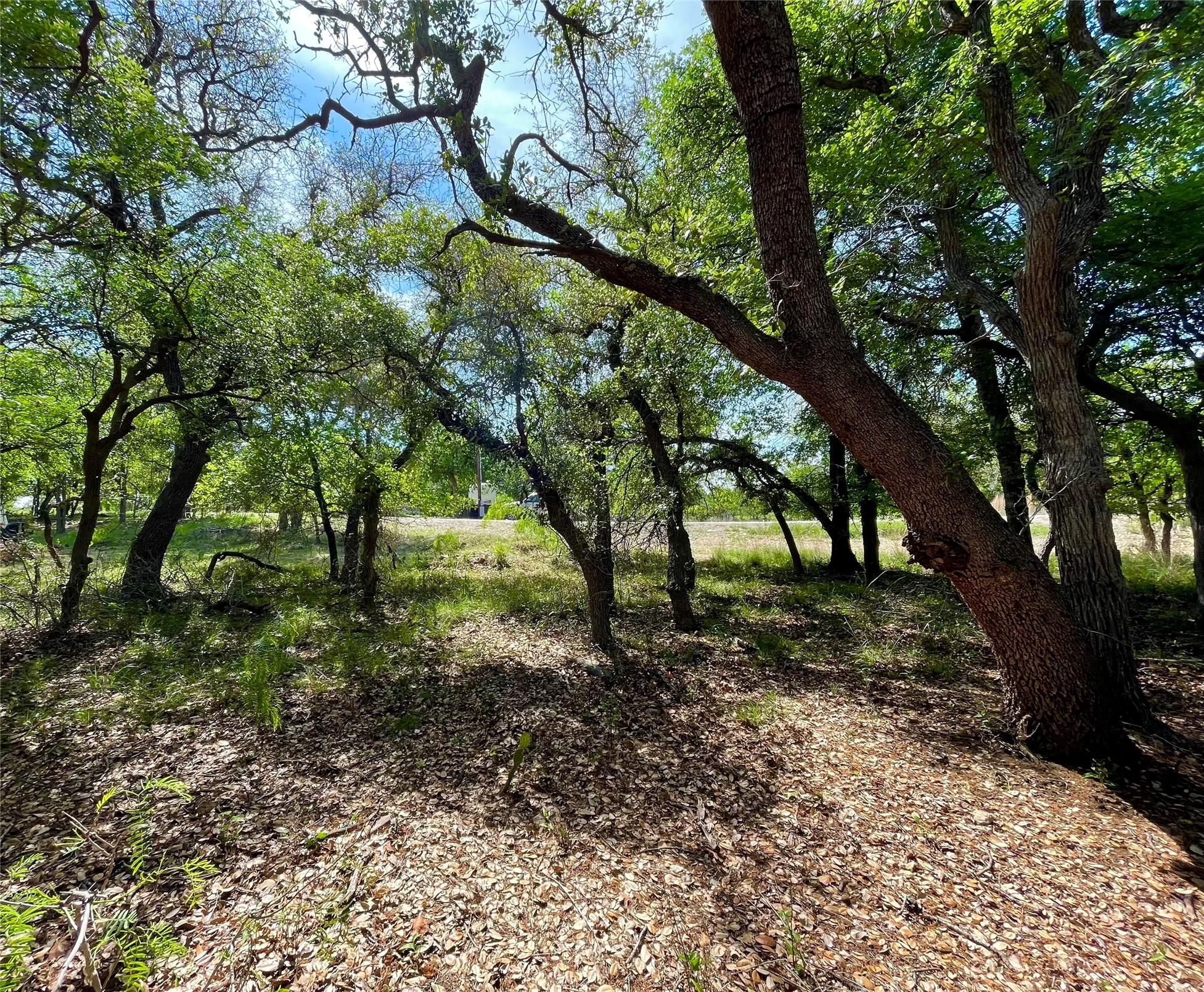 TBD (Lots 785, 786) Oak Point Drive, May, TX, 76857