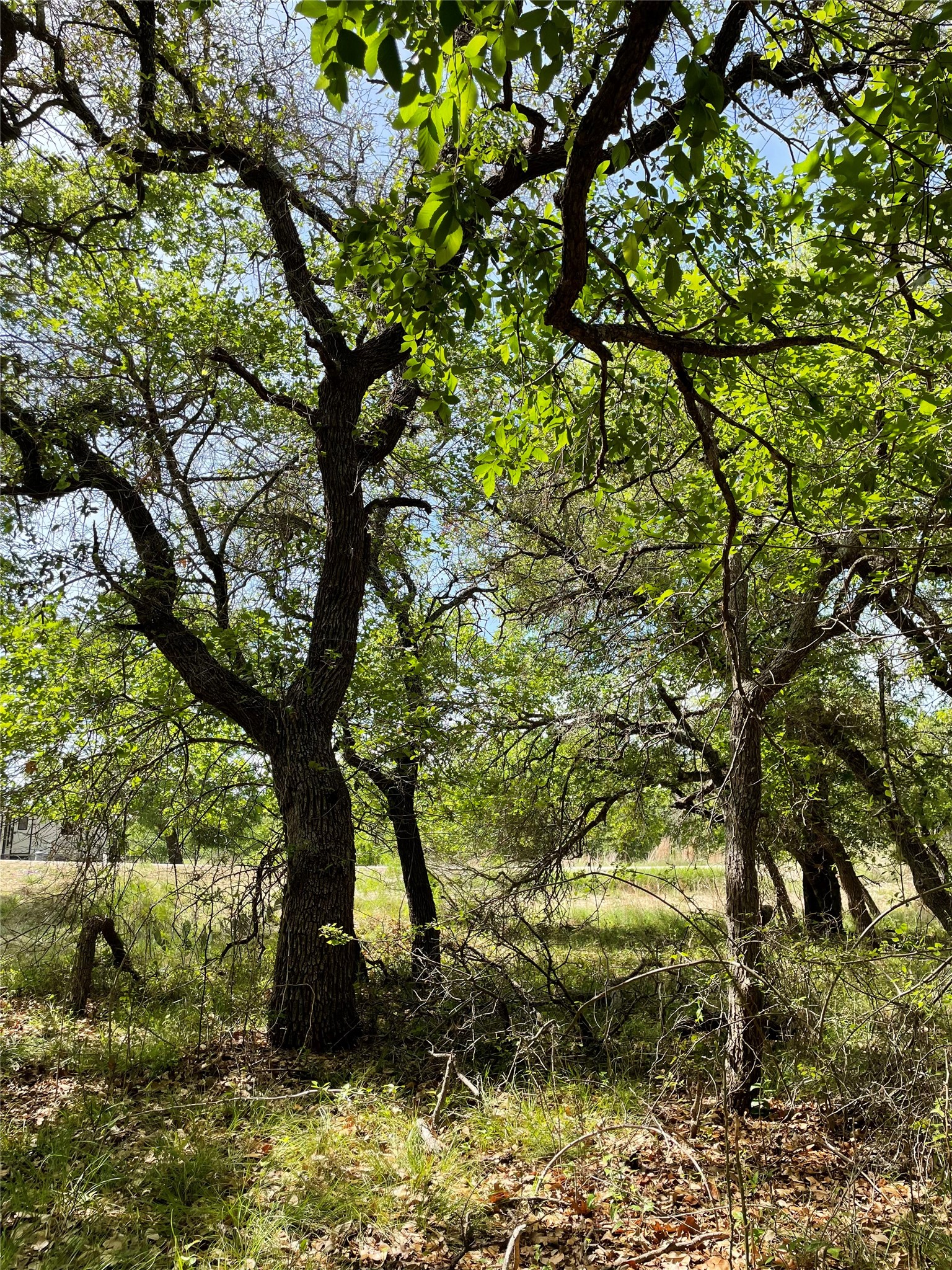 TBD (Lots 785, 786) Oak Point Drive, May, TX, 76857