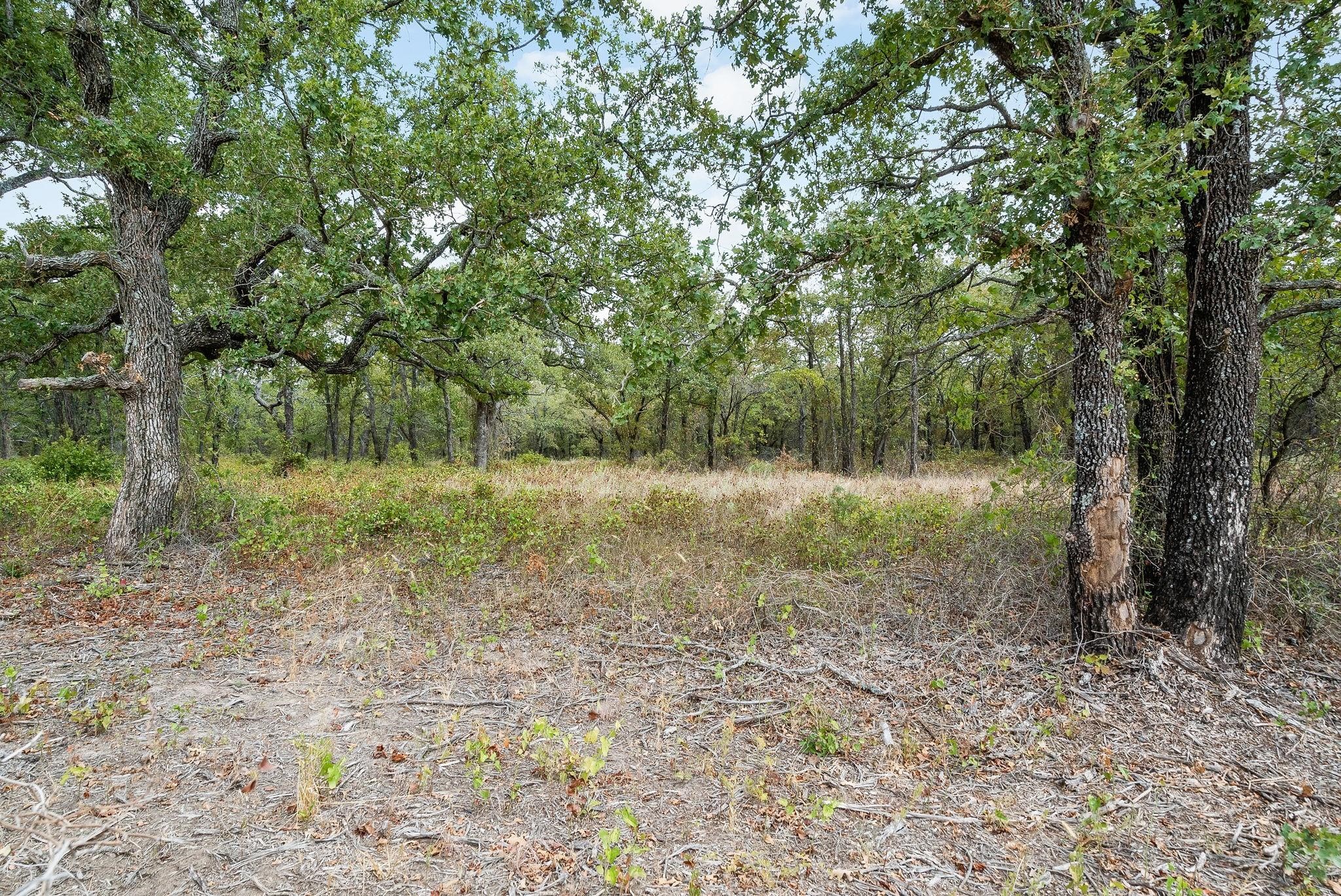 Lot 15 S Double B Ranch Road, Perrin, TX, 76486
