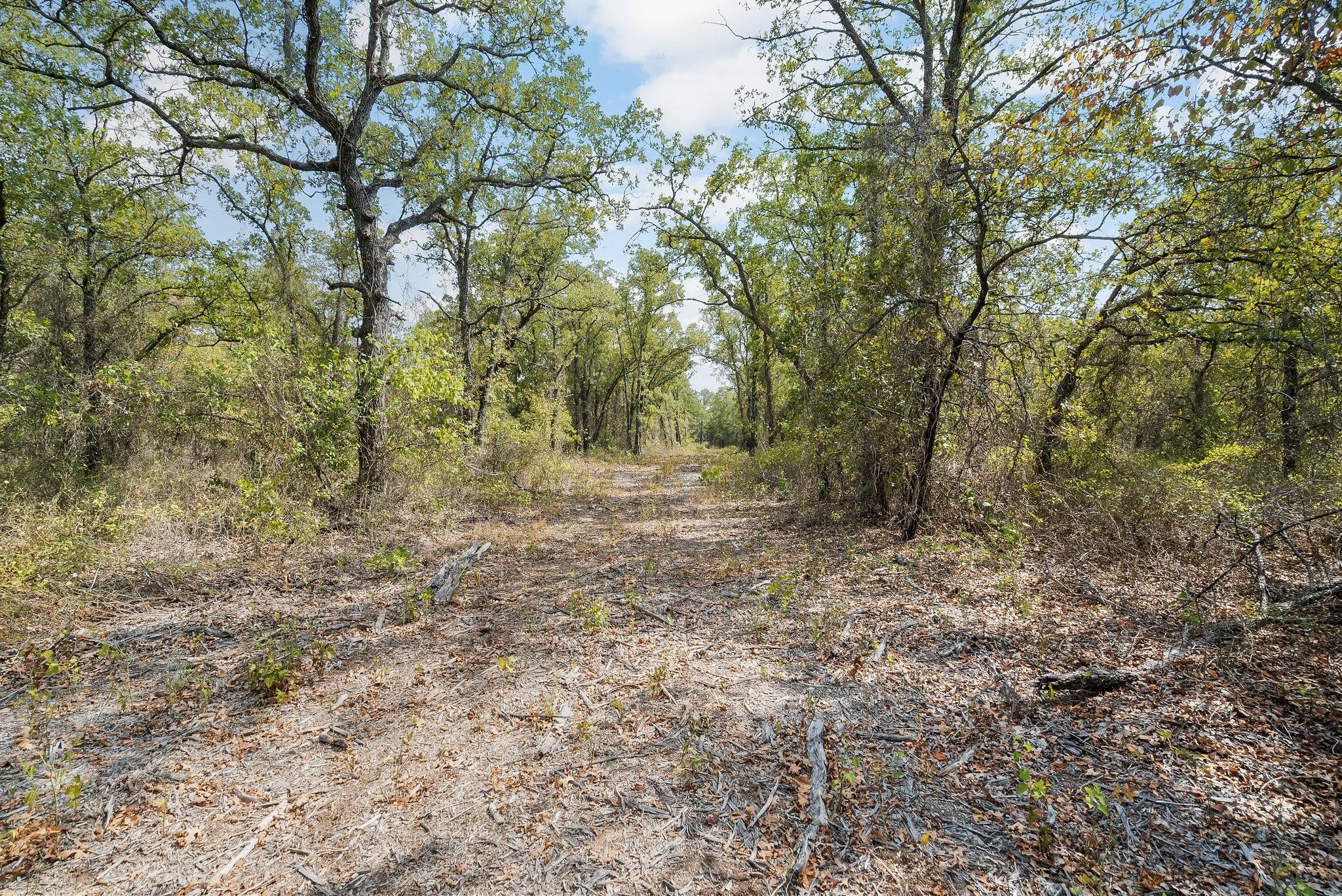 Lot 15 S Double B Ranch Road, Perrin, TX, 76486