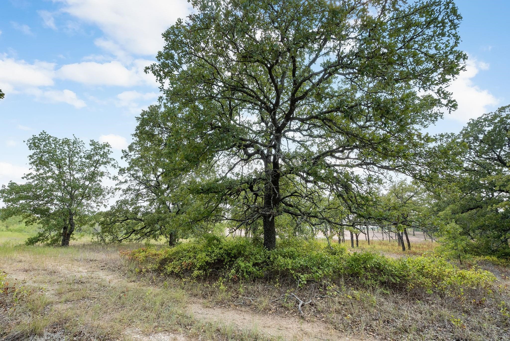 Lot 15 S Double B Ranch Road, Perrin, TX, 76486